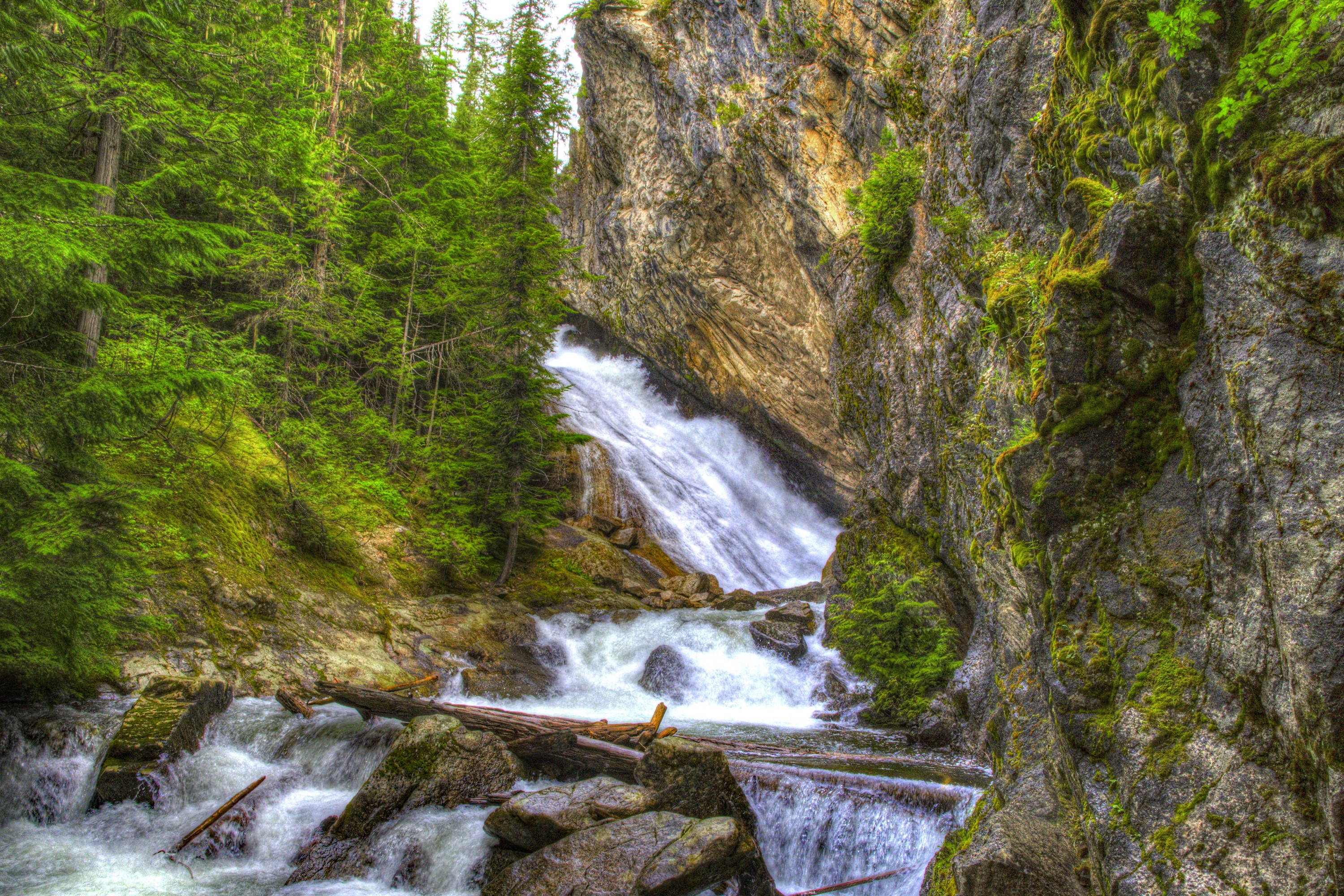 Waterfall cascading down a rocky cliff face surrounded by trees HD Wallpaper