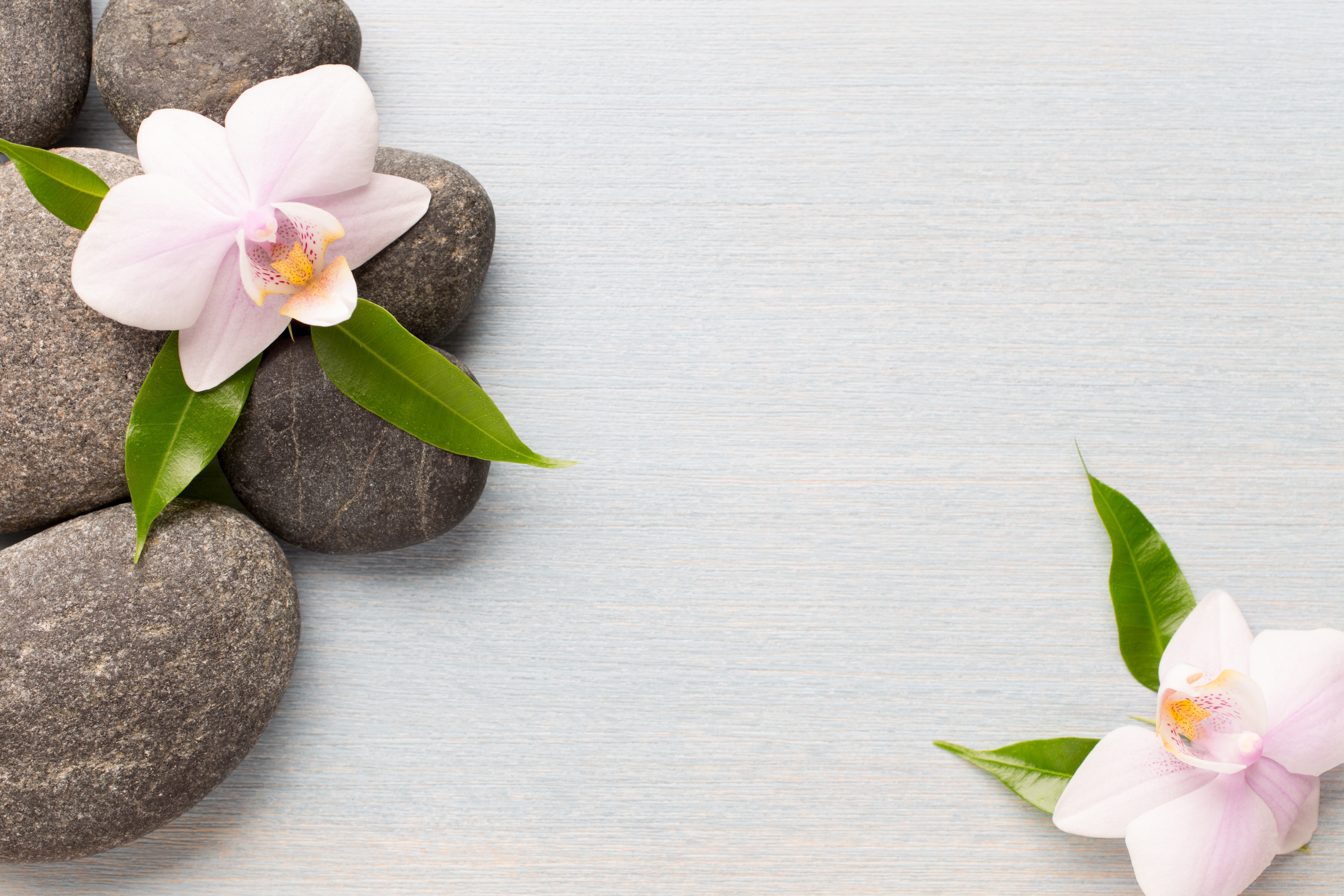 Spa stones and orchid flowers HD Wallpaper
