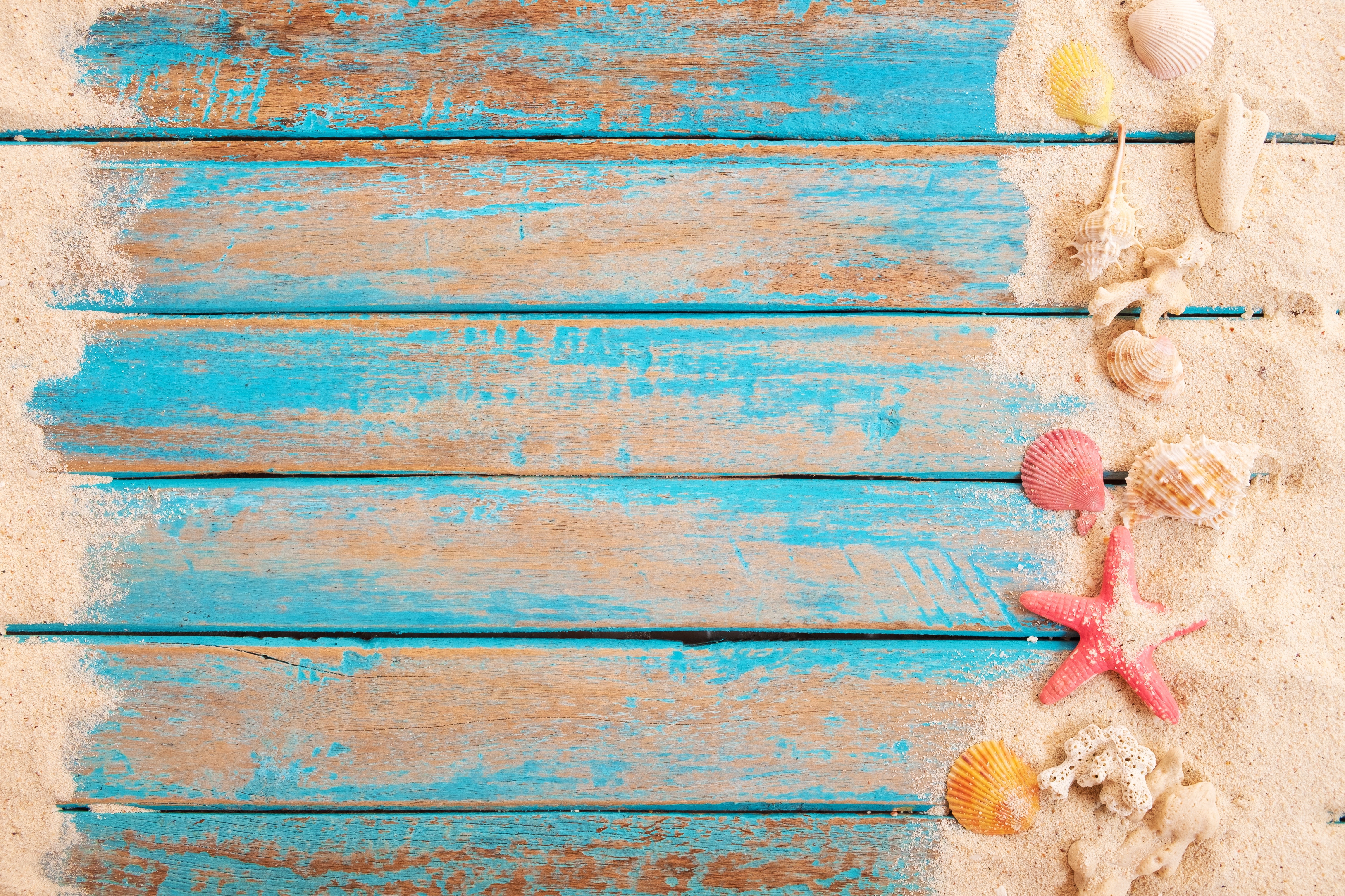Beach Scene with Shells and Starfish on Wood Planks HD Wallpaper