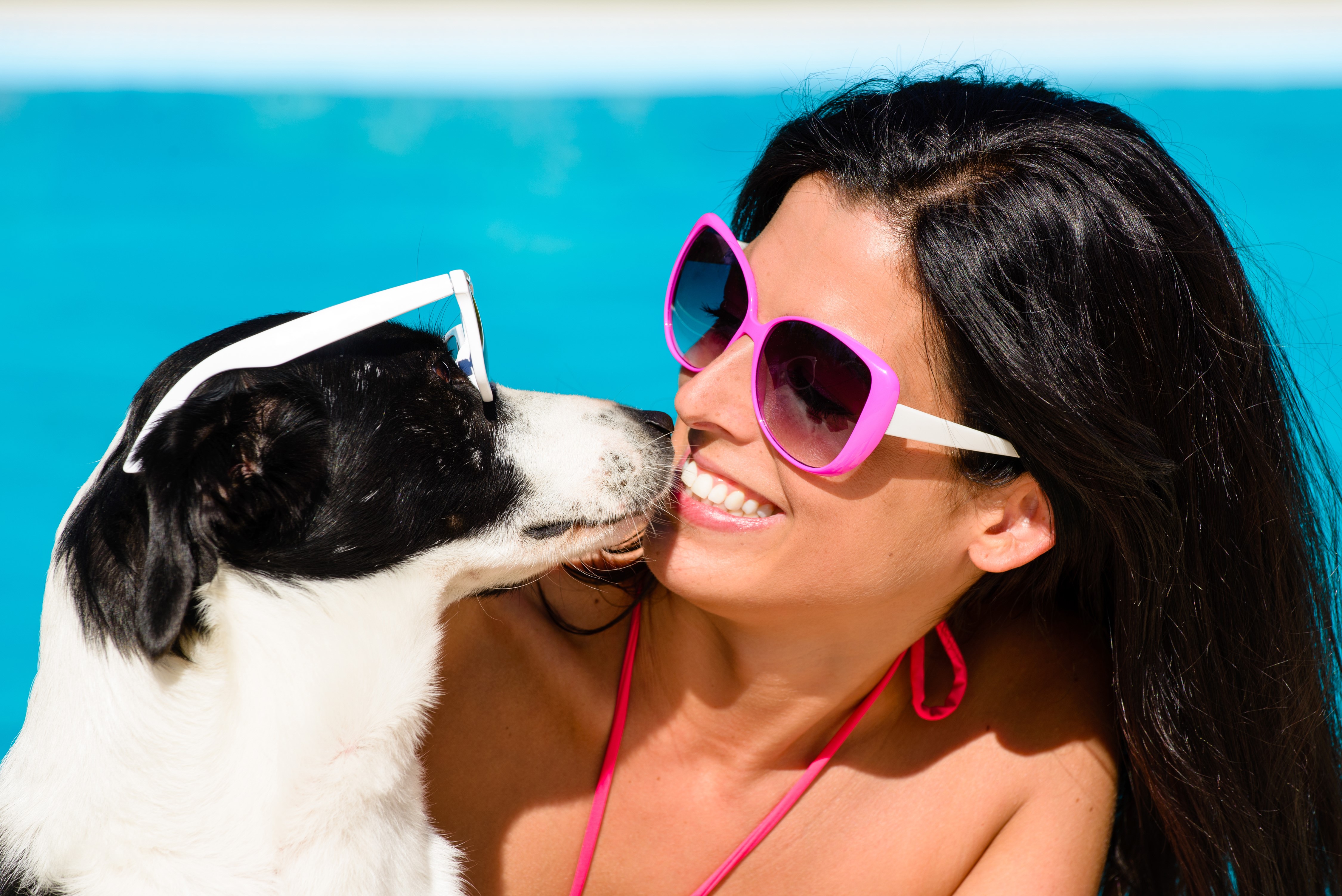 Brunette girl and dog wearing sunglasses by pool HD Wallpaper