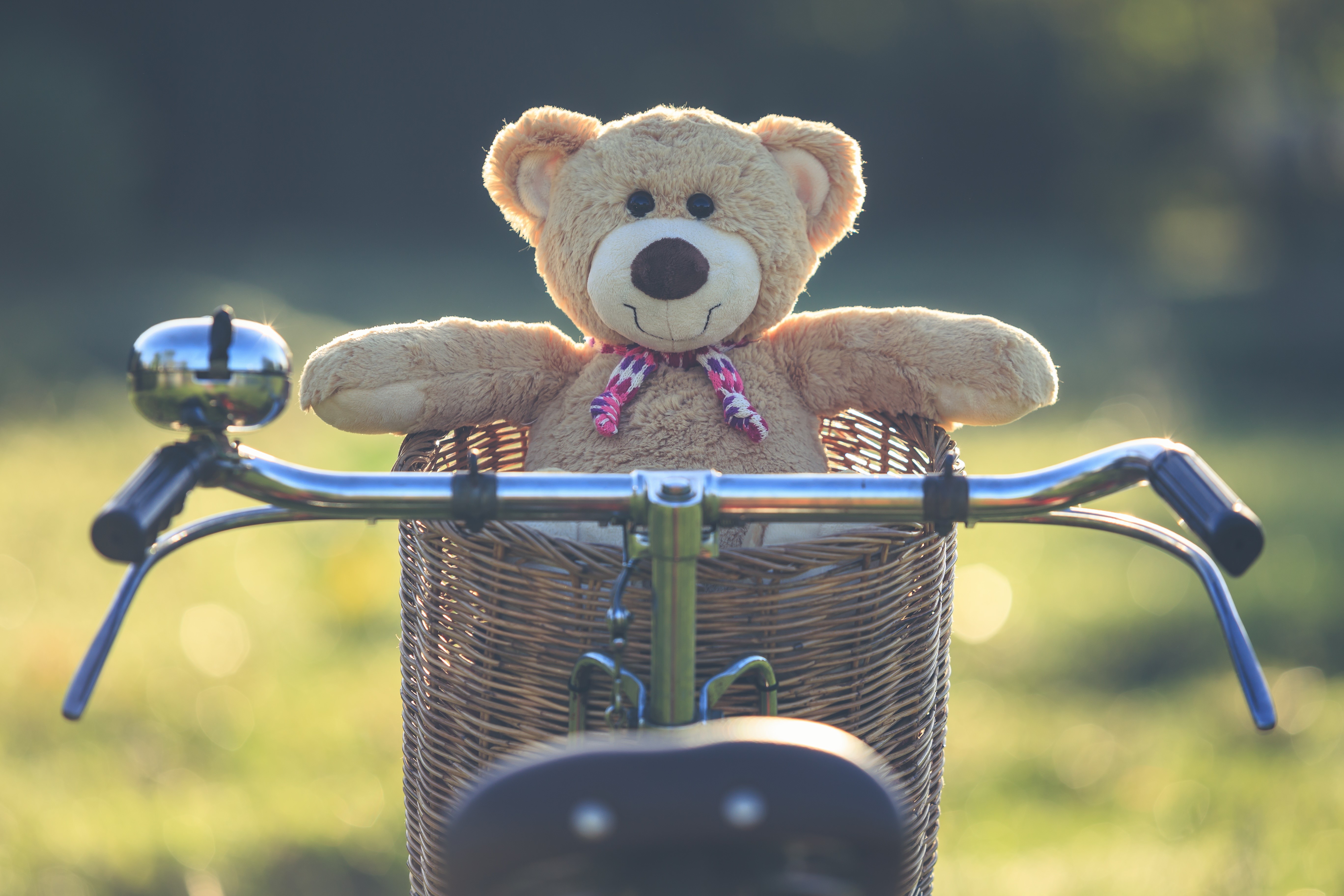 Teddy bear in a wicker basket on a bicycle HD Wallpaper