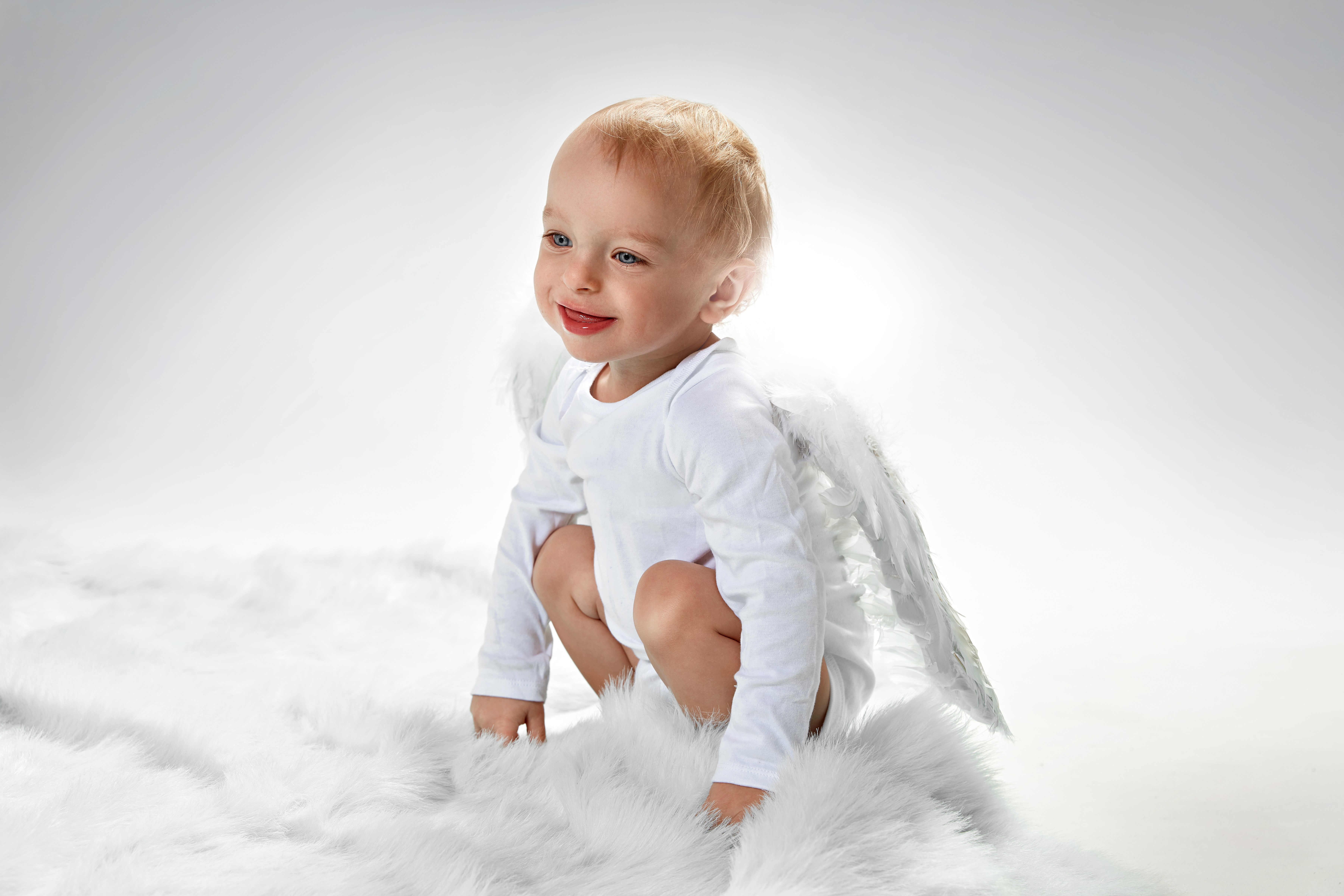 Baby boy with angel wings HD Wallpaper