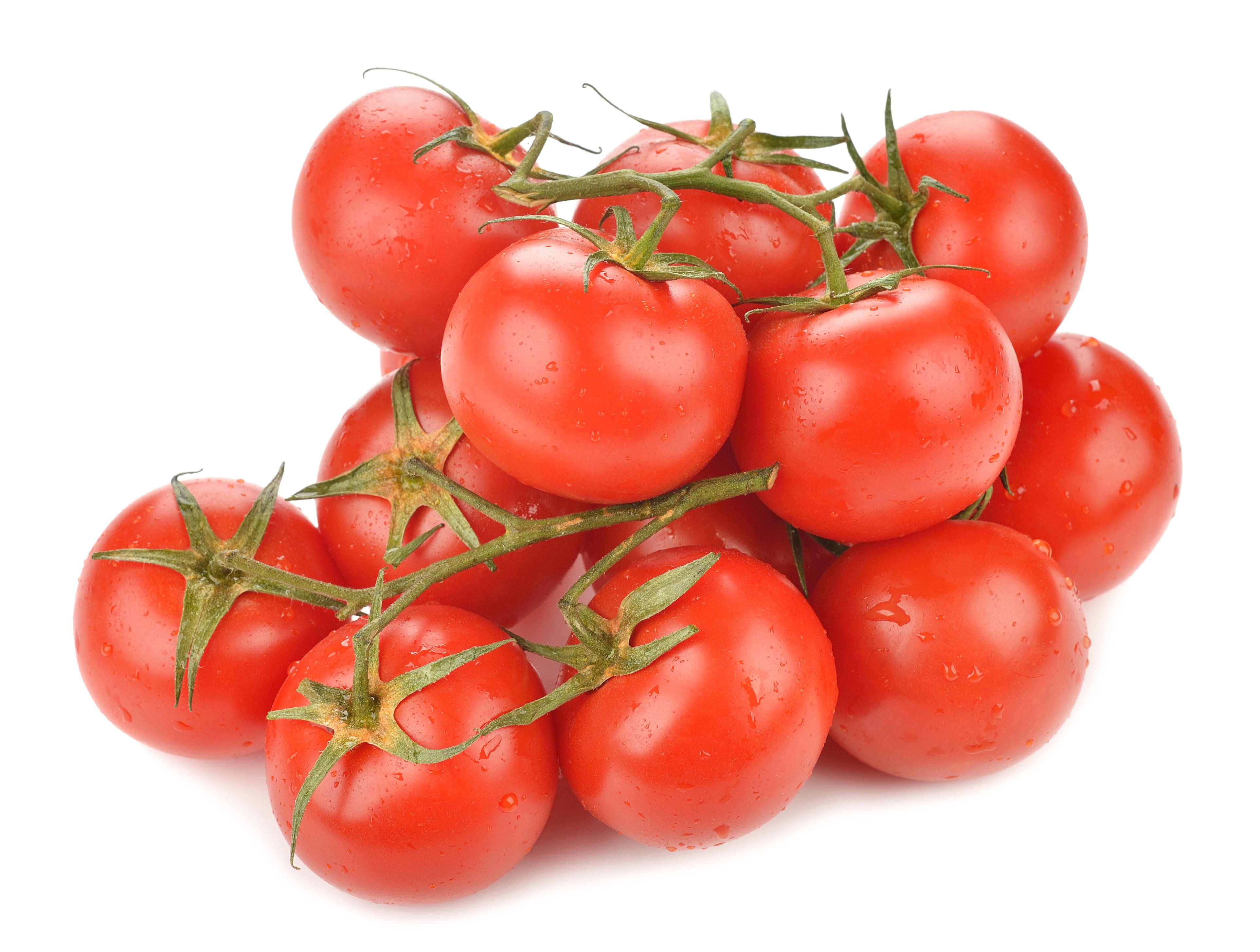 Tomatoes on a vine, 4K HD Wallpaper