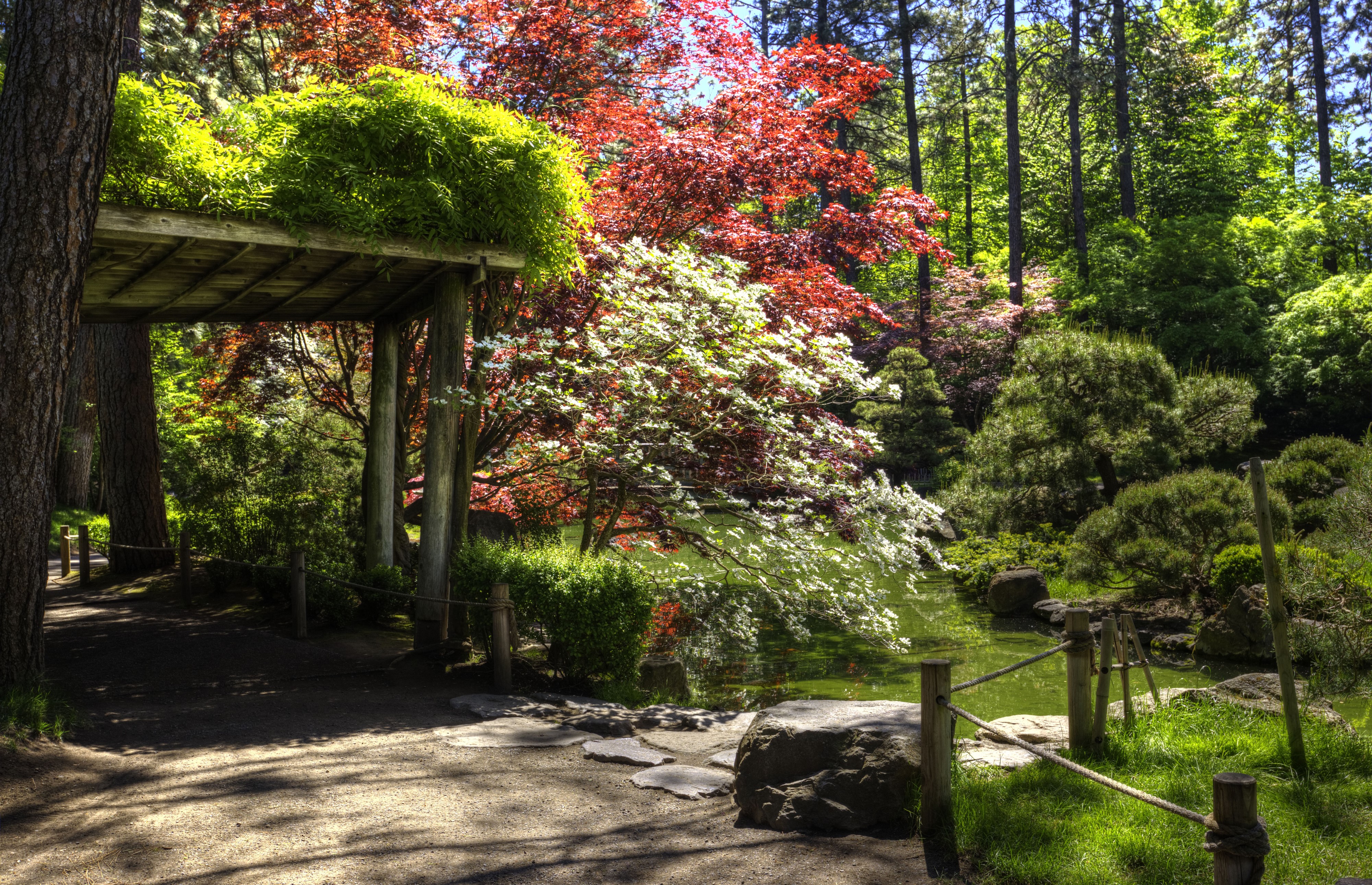 Spokane Japanese Garden Pond with Trees and Shrubs HD Wallpaper