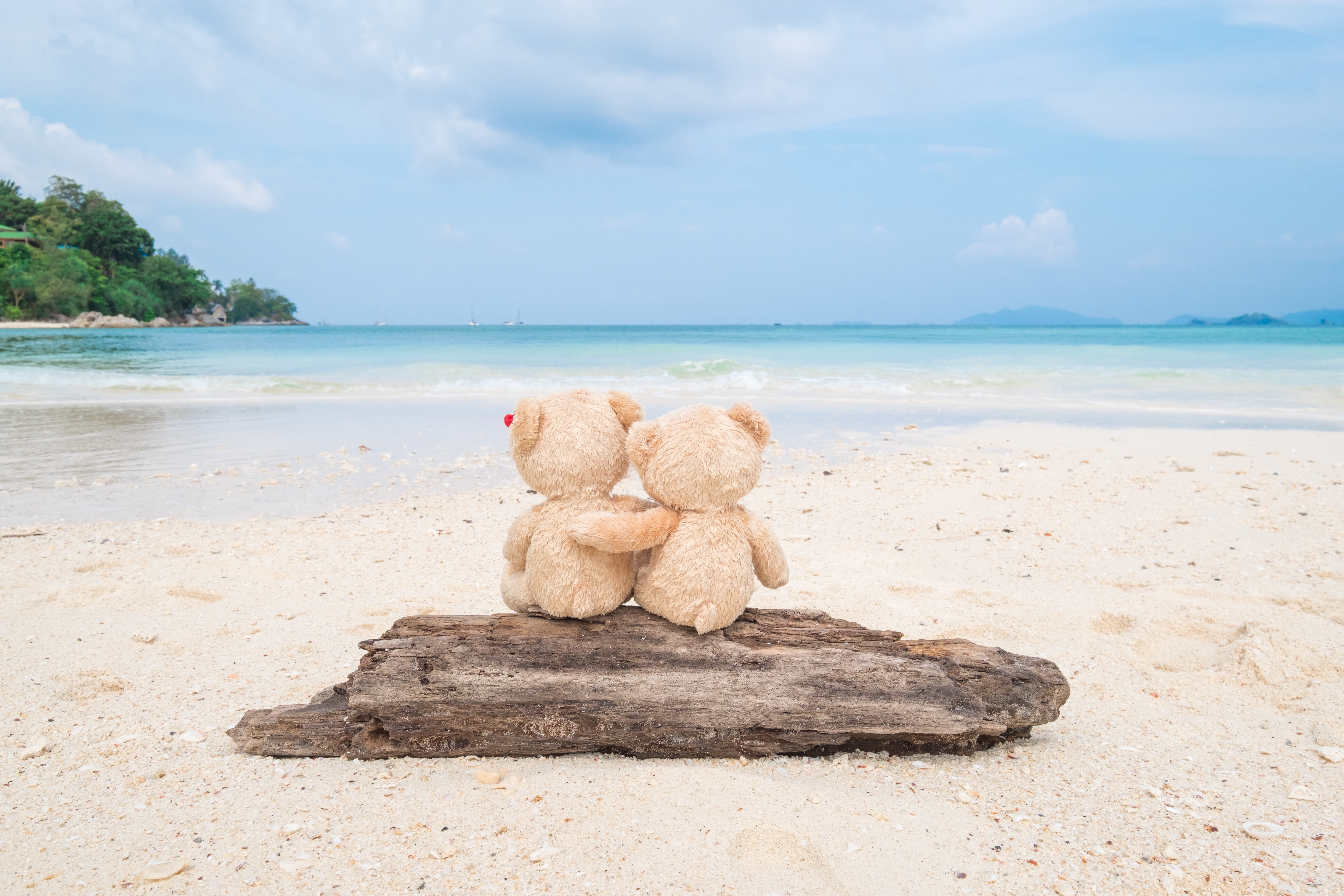 Two teddy bears hugging on a beach HD Wallpaper