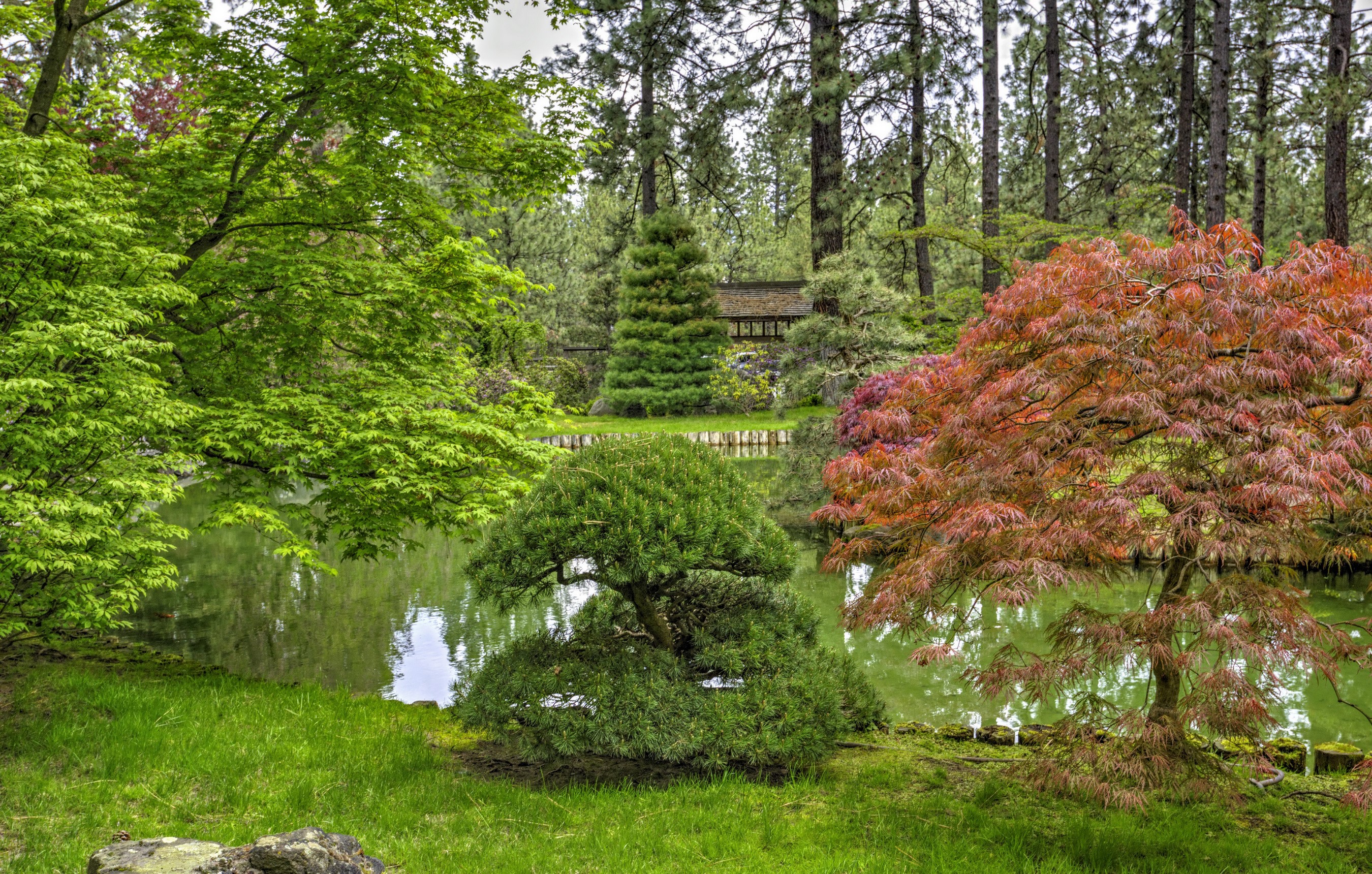 Spokane Japanese Garden with pond and trees HD Wallpaper
