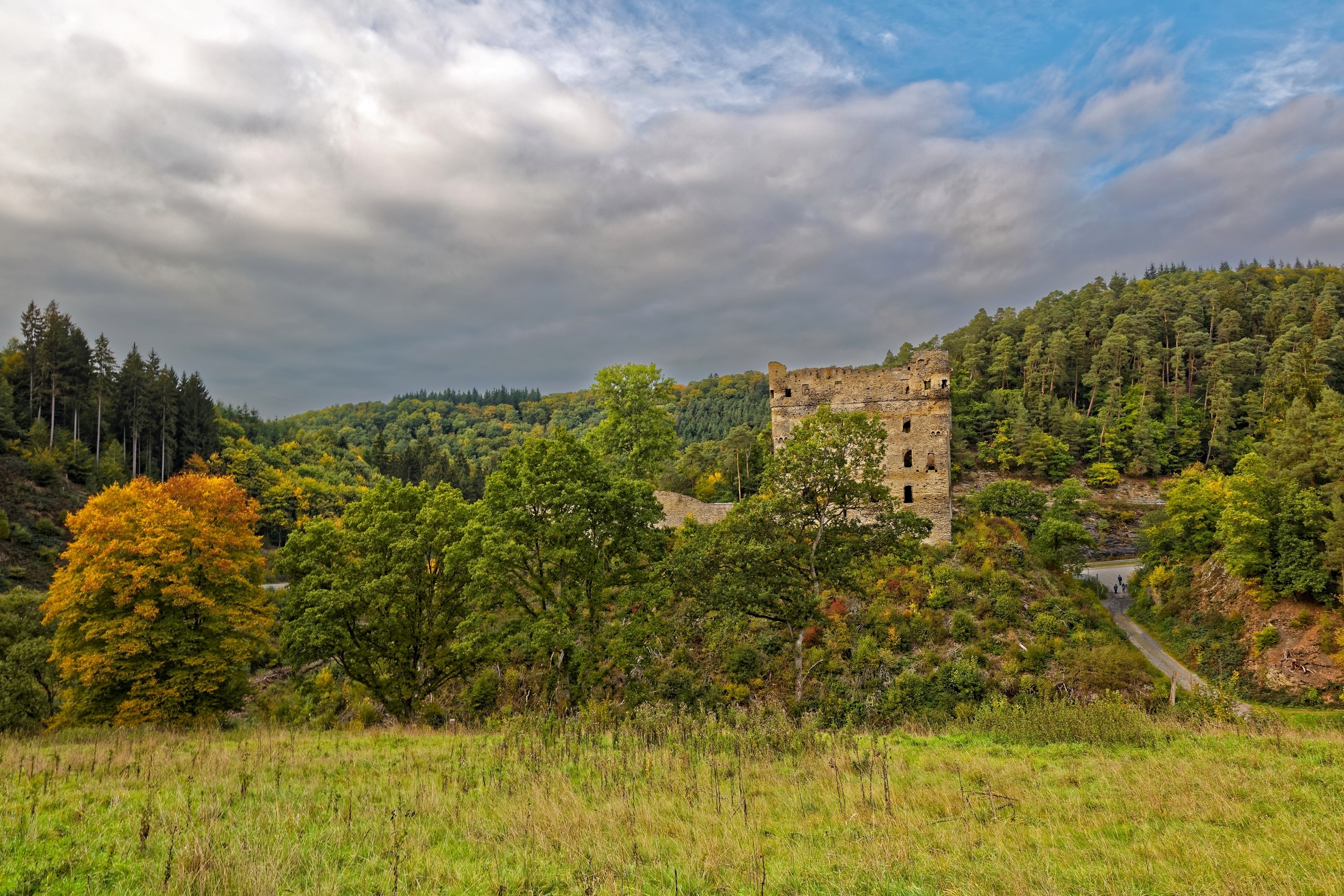 Burg Balduinstein ruins in a German forest HD Wallpaper
