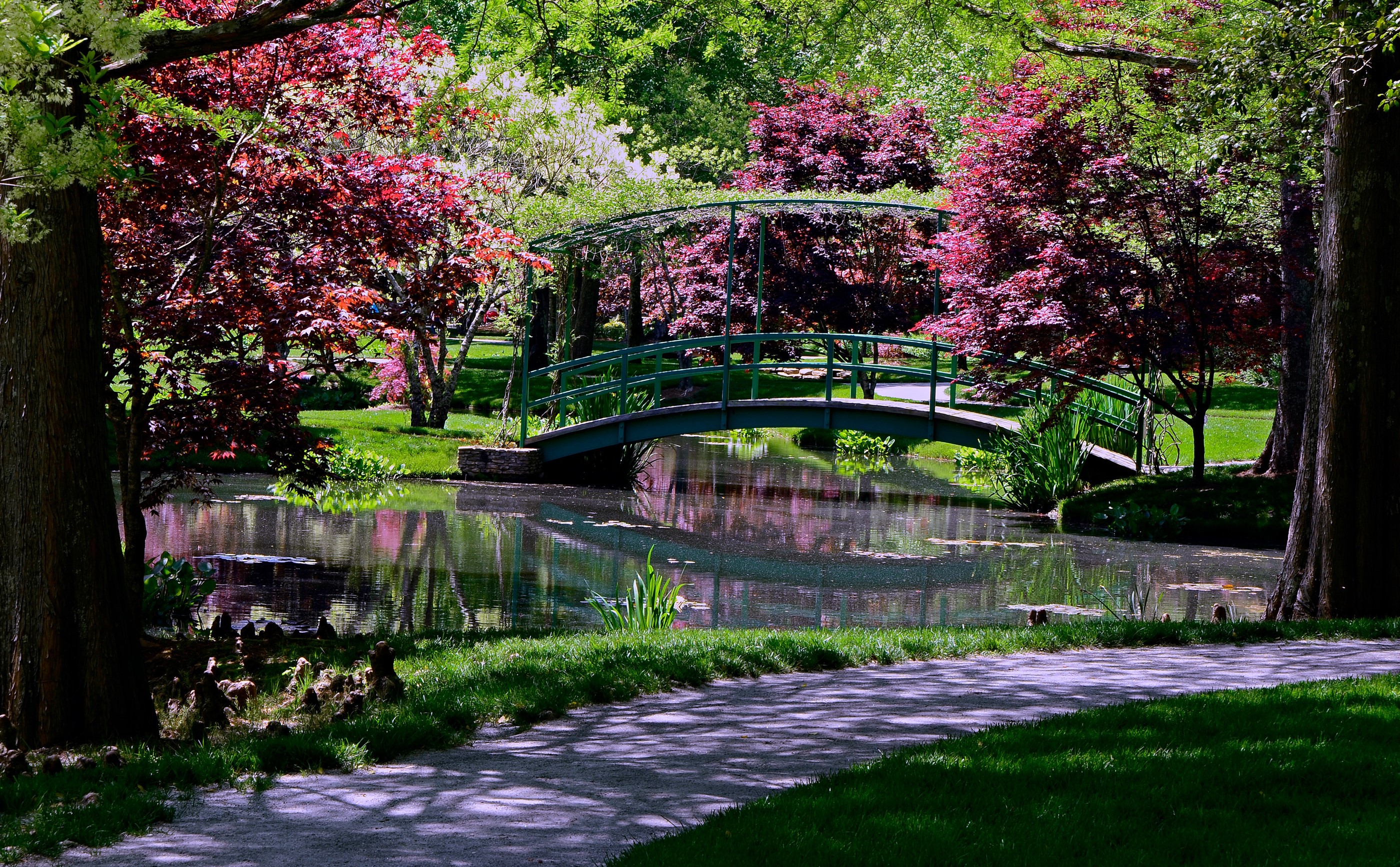 Gibbs Gardens Tranquil Pond and Bridge Scene HD Wallpaper