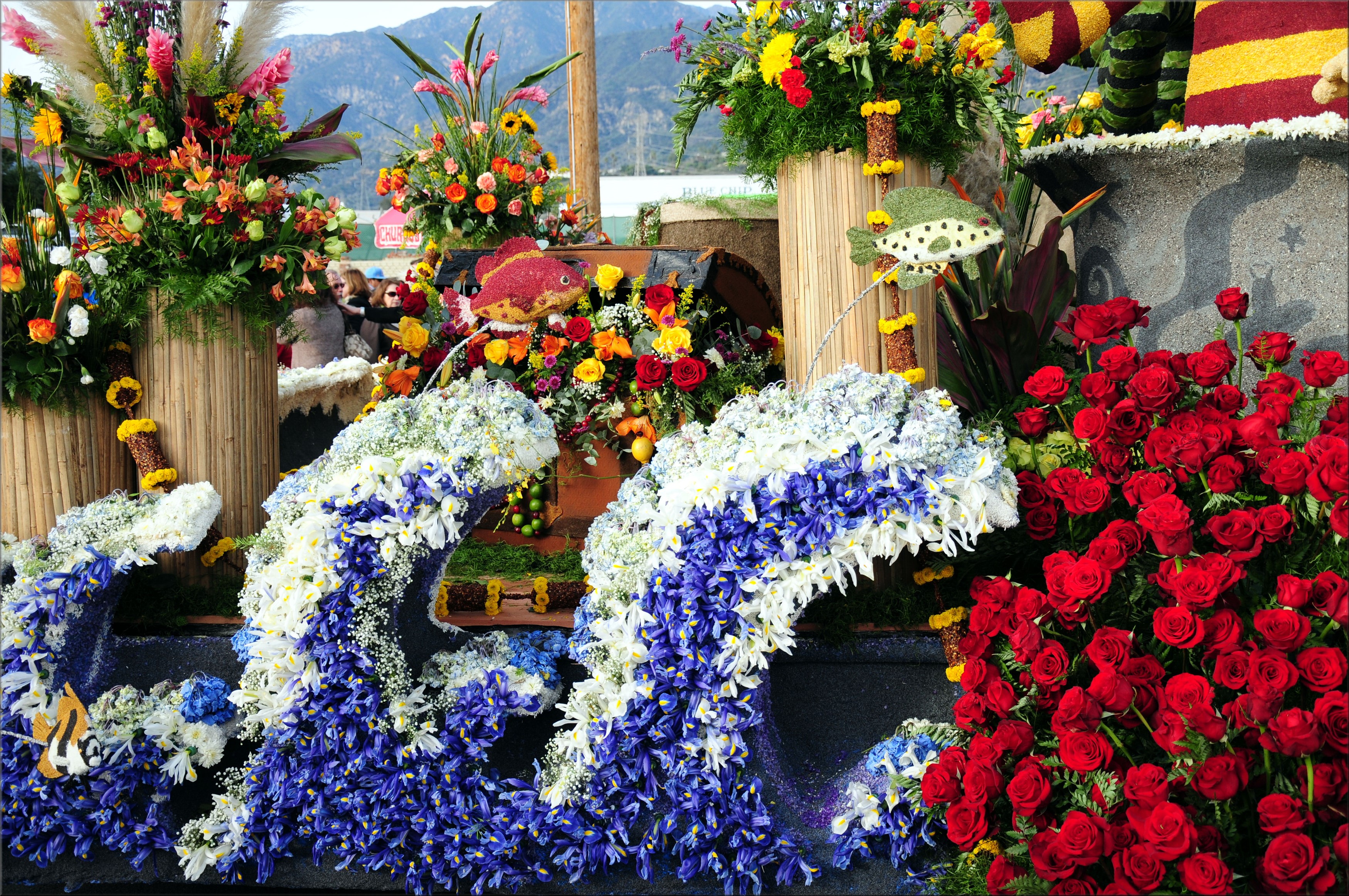 Floral float with roses and irises HD Wallpaper