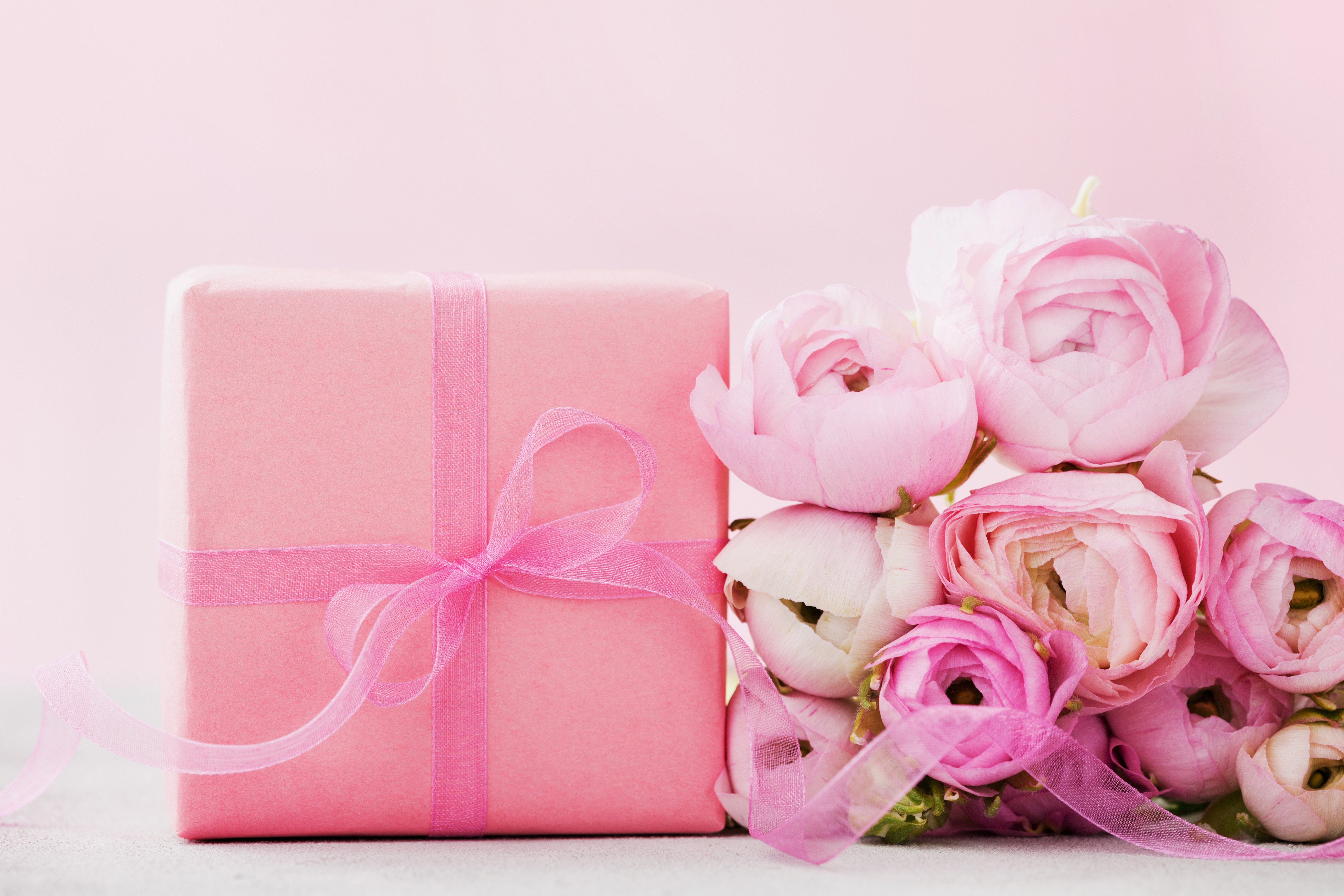 Pink gift box with pink ranunculus flowers HD Wallpaper