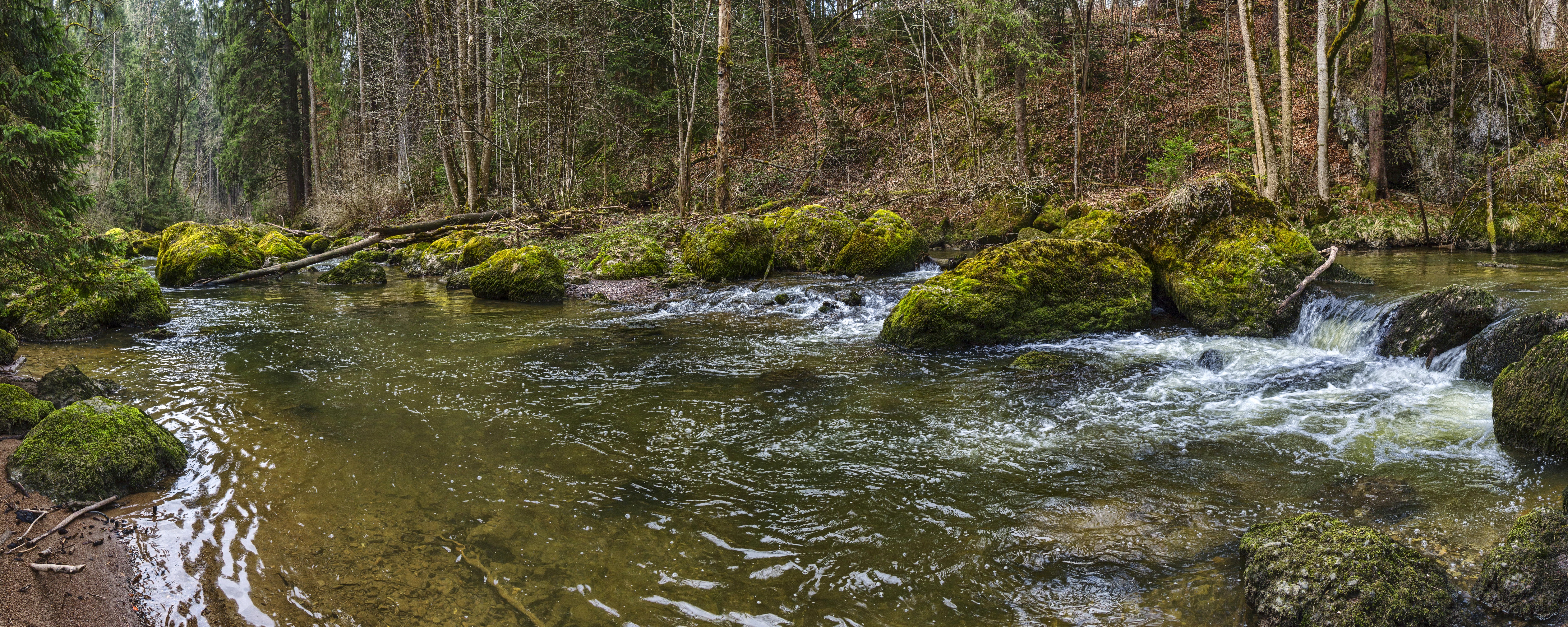 River flowing through a moss-covered forest in Bavaria, Germany HD Wallpaper