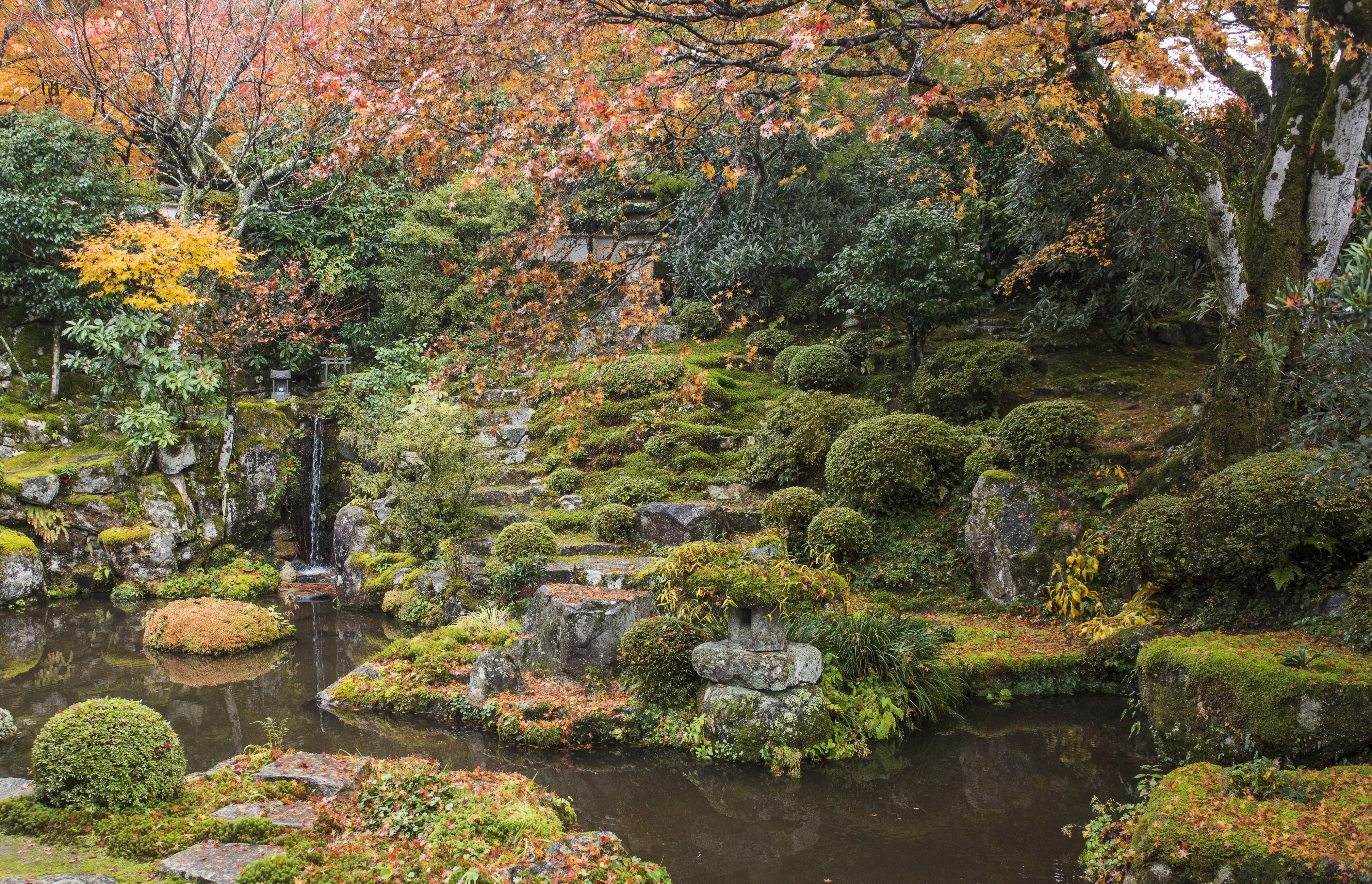 Japanese Garden in Kyoto with Autumn Foliage and Pond HD Wallpaper