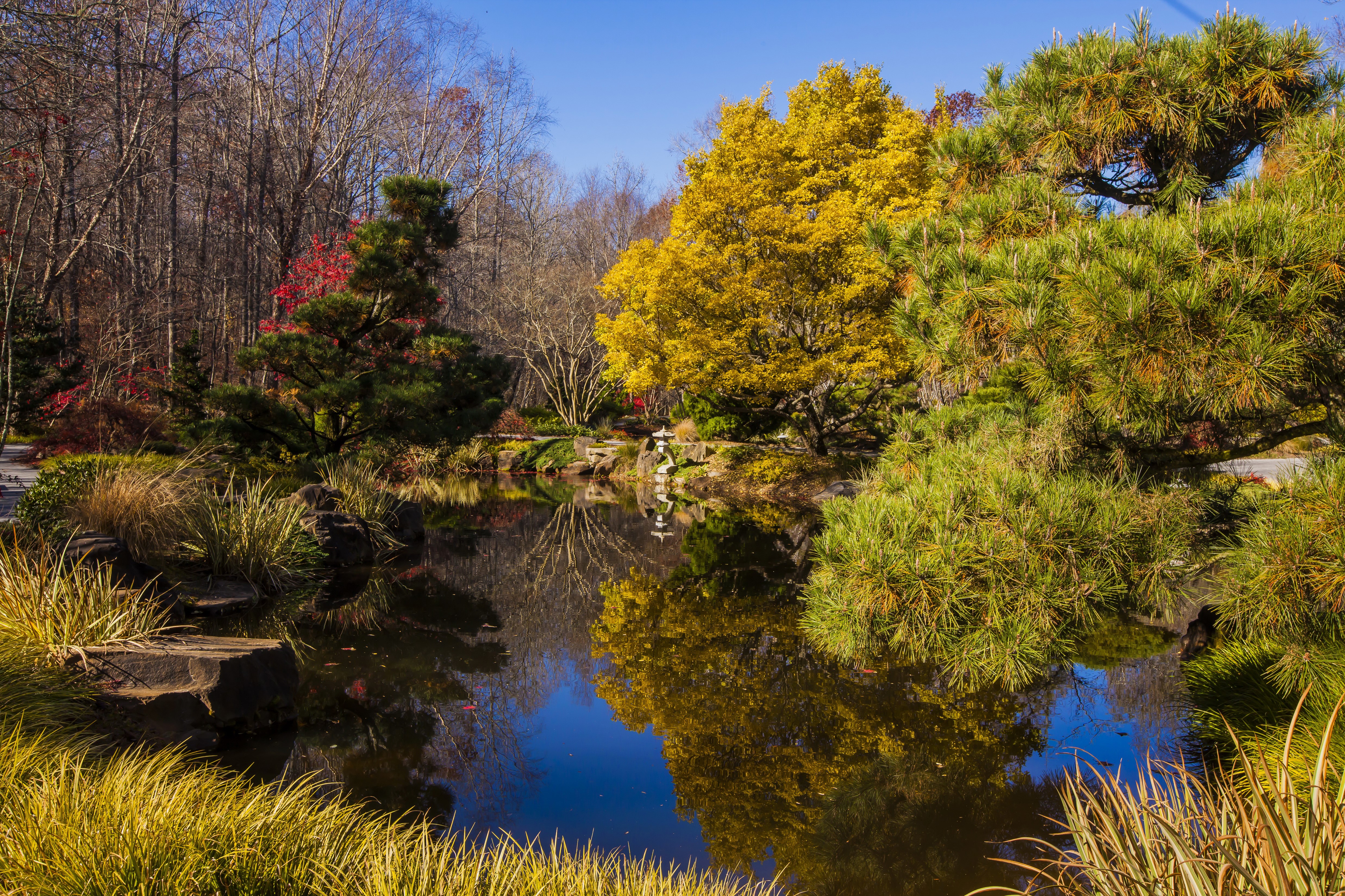 Autumn Pond and Trees at Gibbs Gardens HD Wallpaper