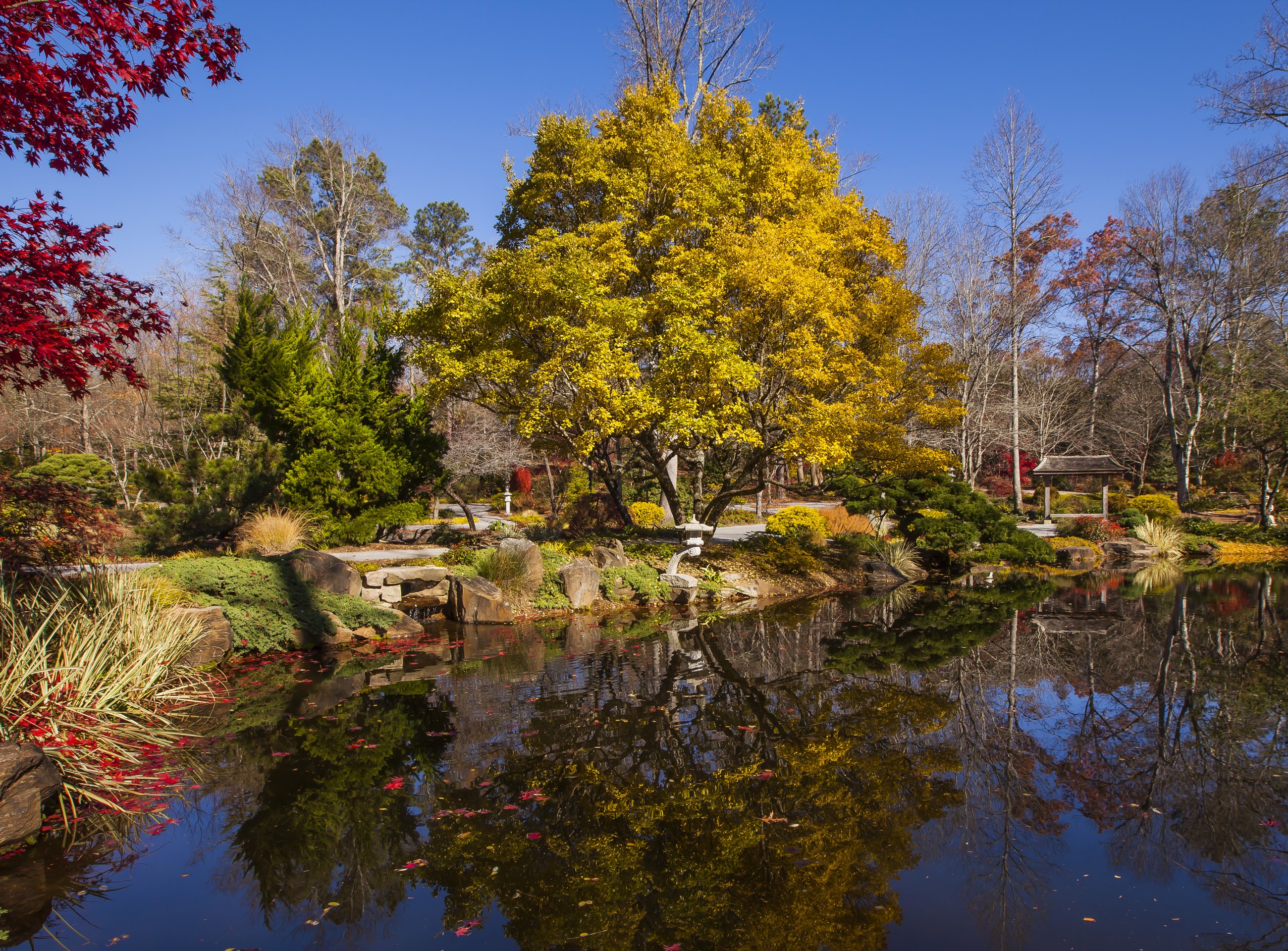 Gibbs Gardens pond with autumn trees and reflections HD Wallpaper