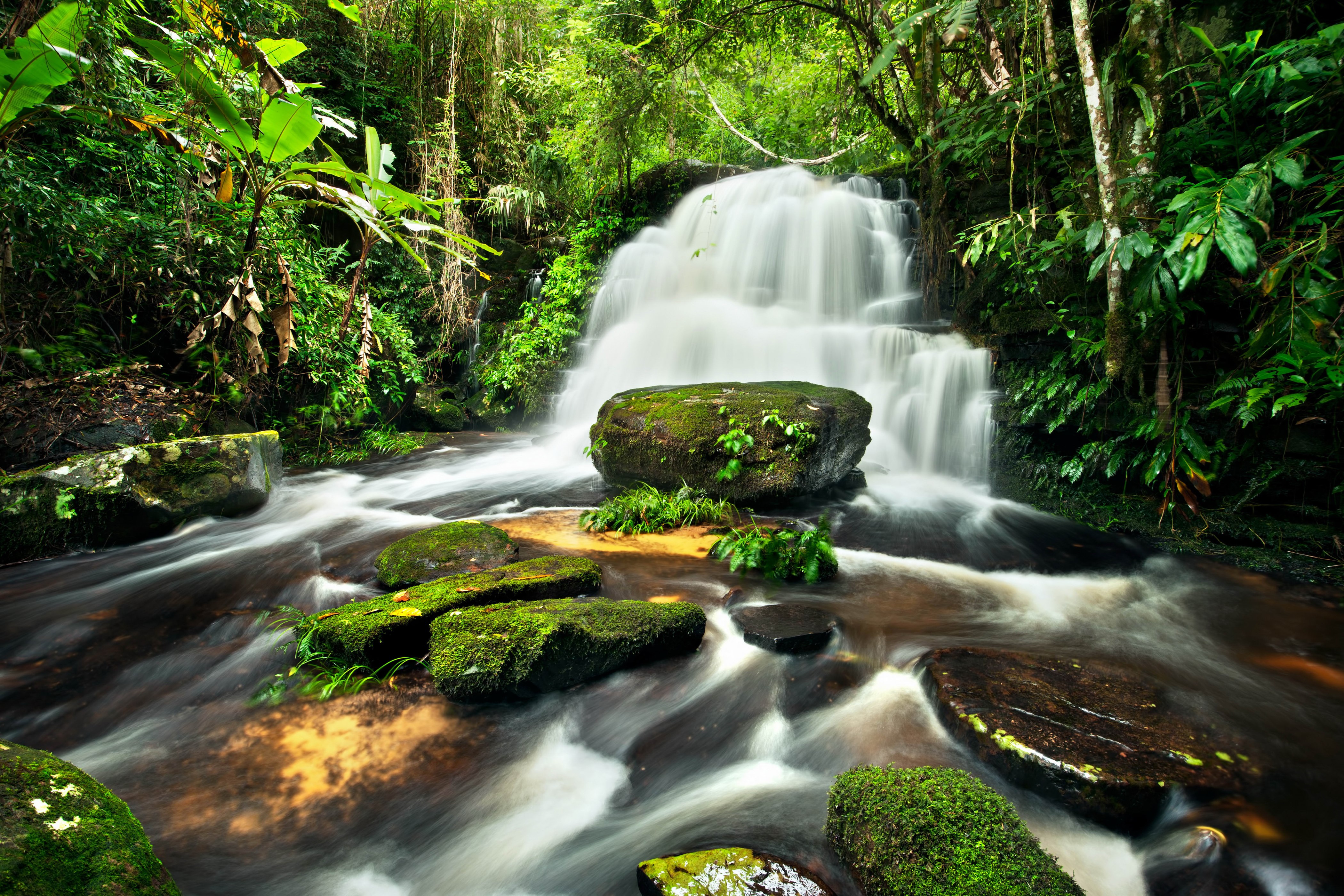 Waterfall flowing over mossy stones in a forest HD Wallpaper