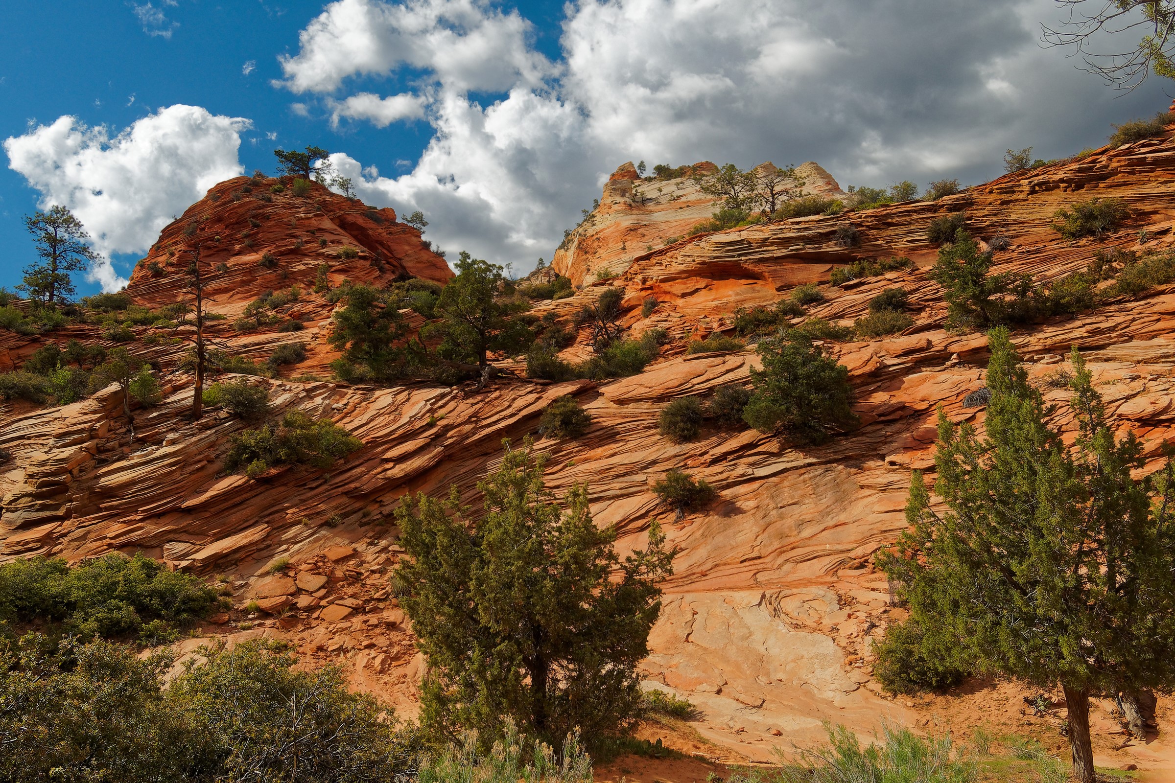 Zion National Park Mountains with Trees and Clouds HD Wallpaper