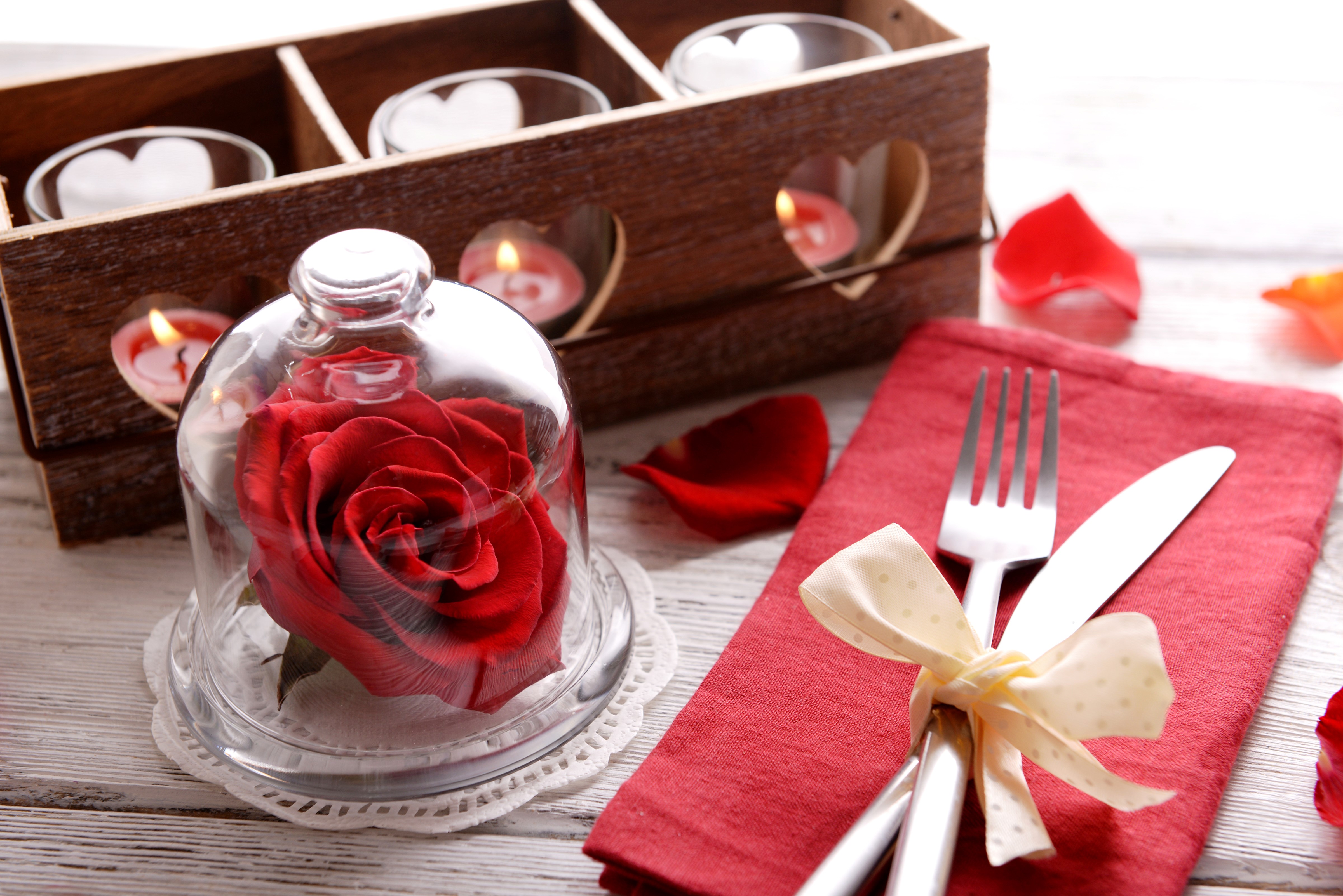 Red rose under glass dome with candles and cutlery HD Wallpaper