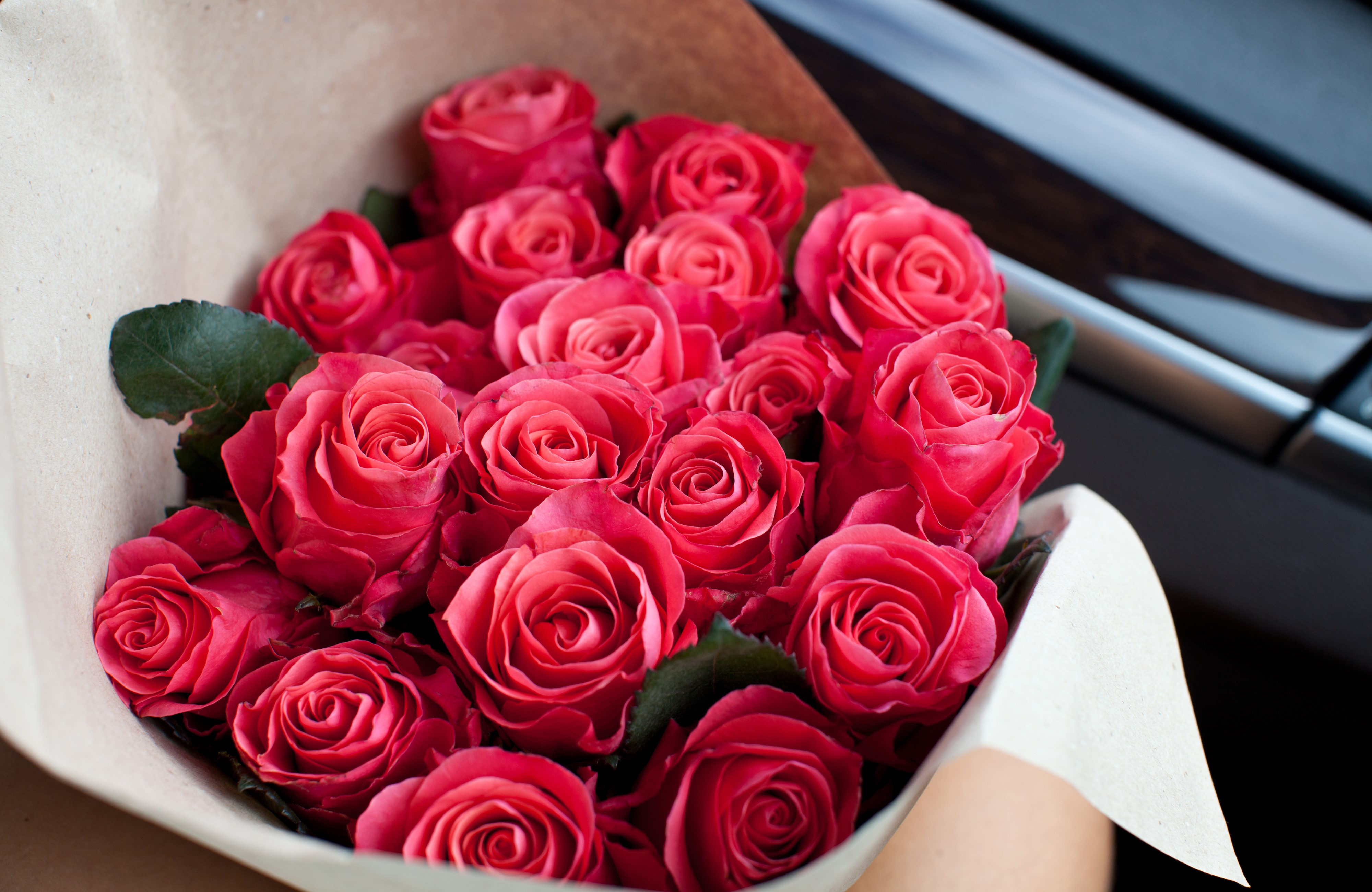 Bouquet of Pink Roses HD Wallpaper