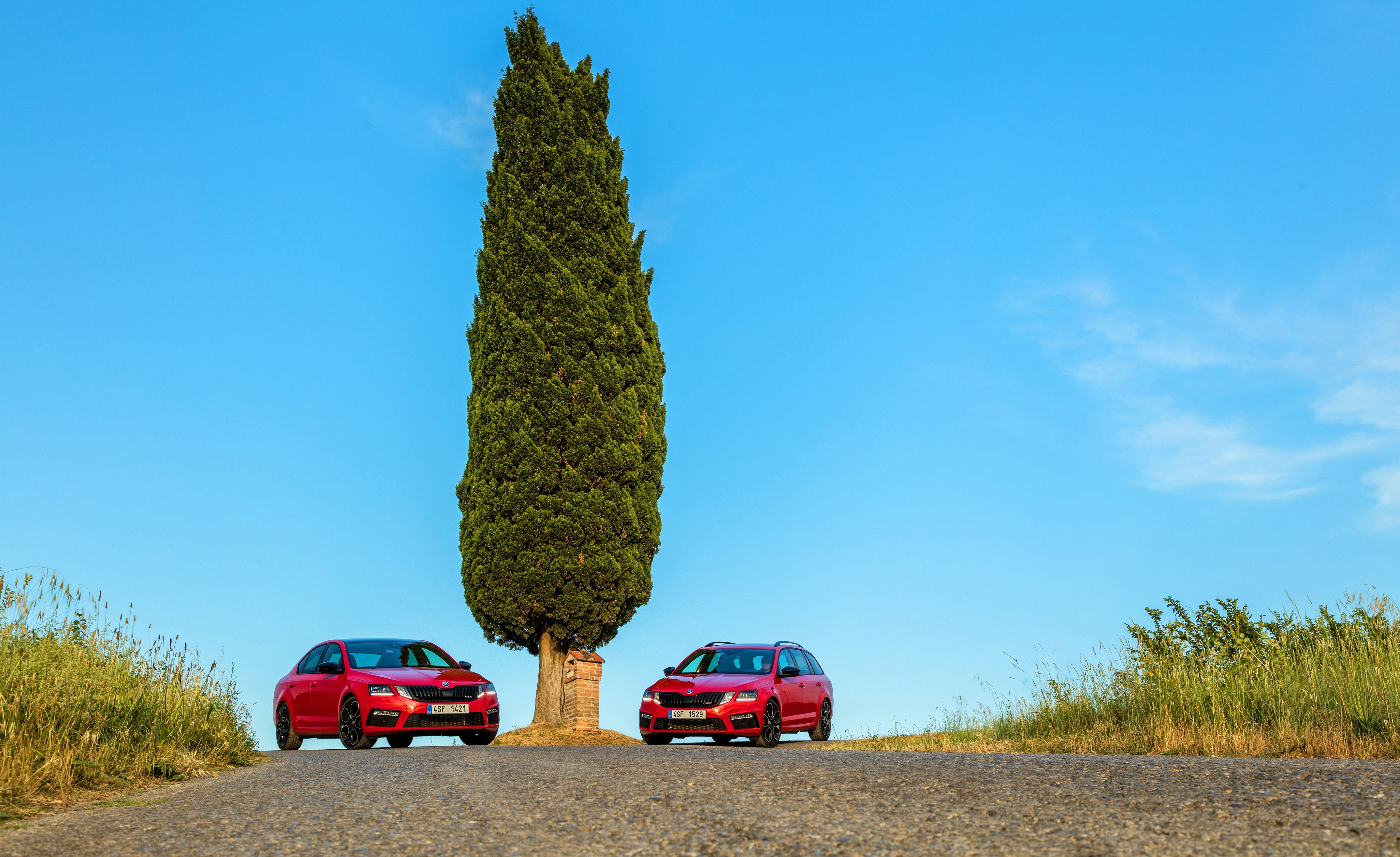 Two red Skoda Octavia cars by a cypress tree HD Wallpaper