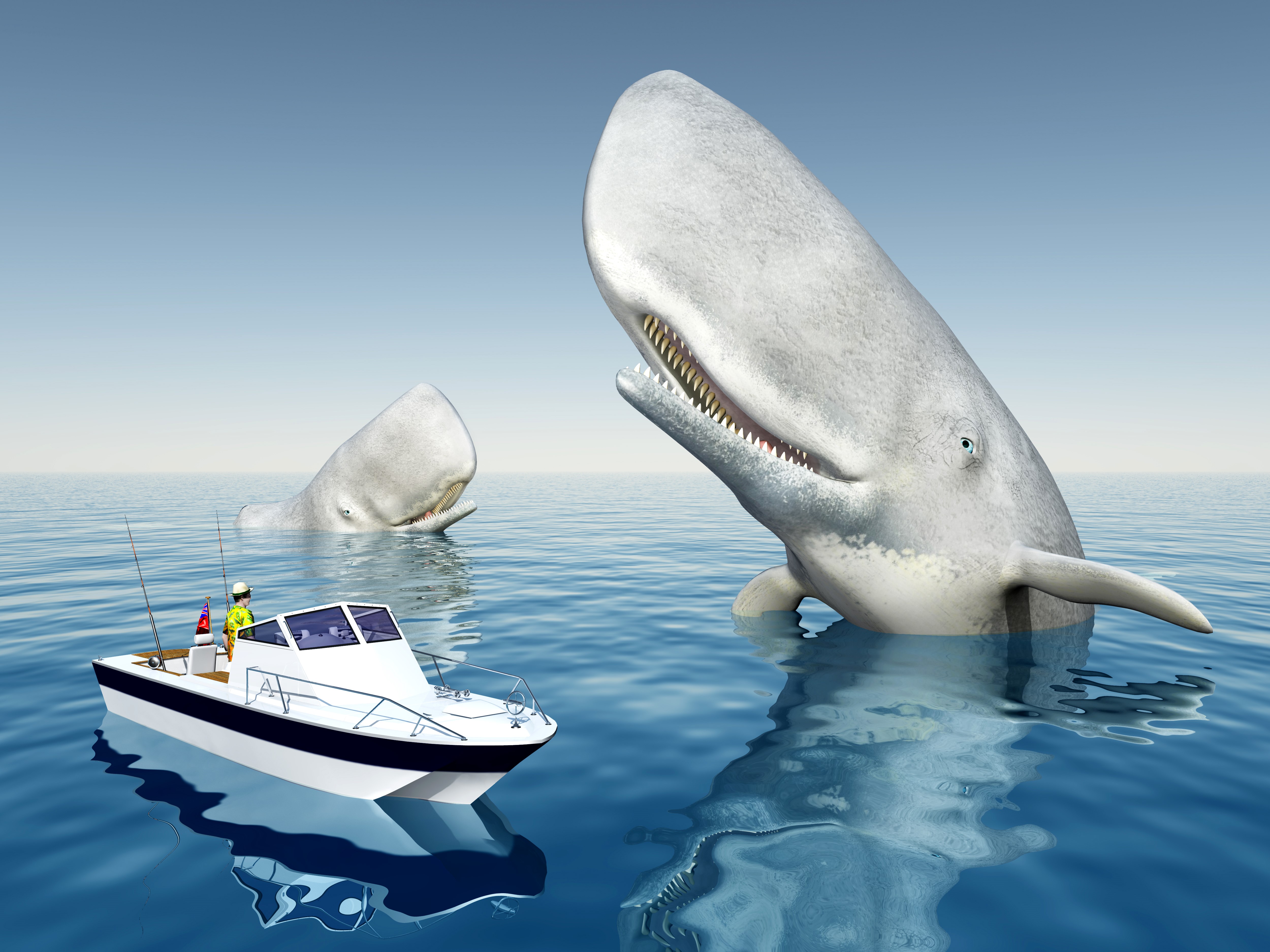 Two whales and a motorboat at sea HD Wallpaper