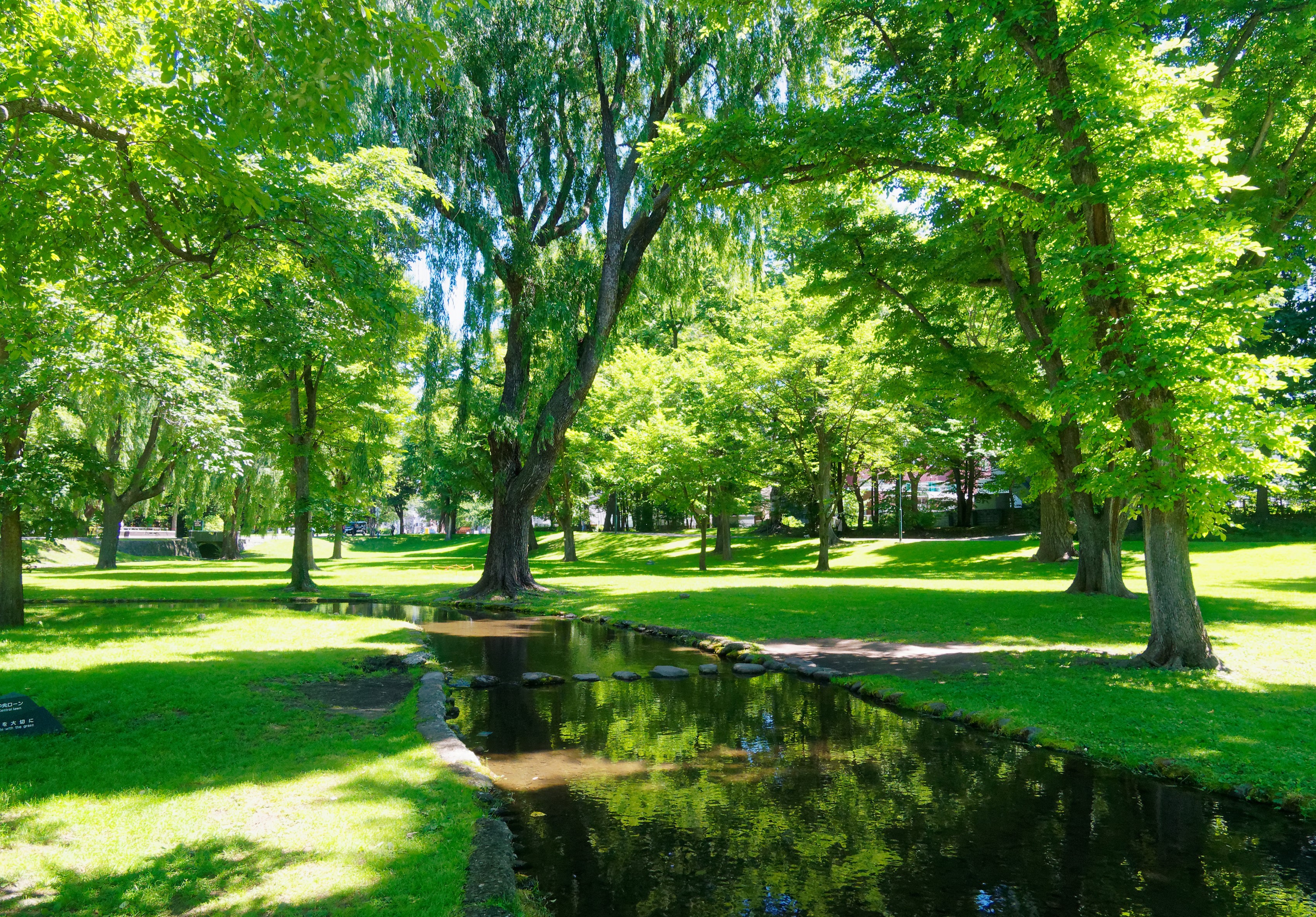 Park with pond and trees in Hokkaido University, Japan HD Wallpaper