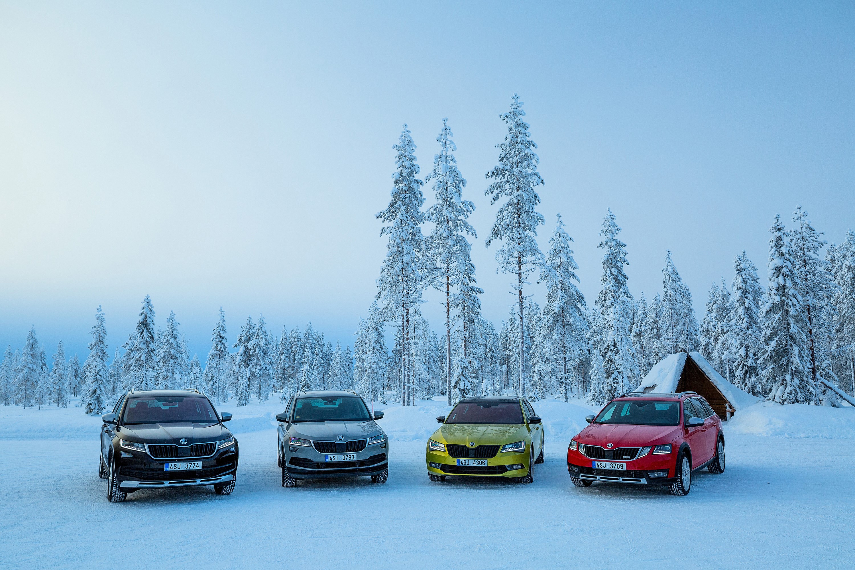 Four Skoda cars in a snowy forest HD Wallpaper