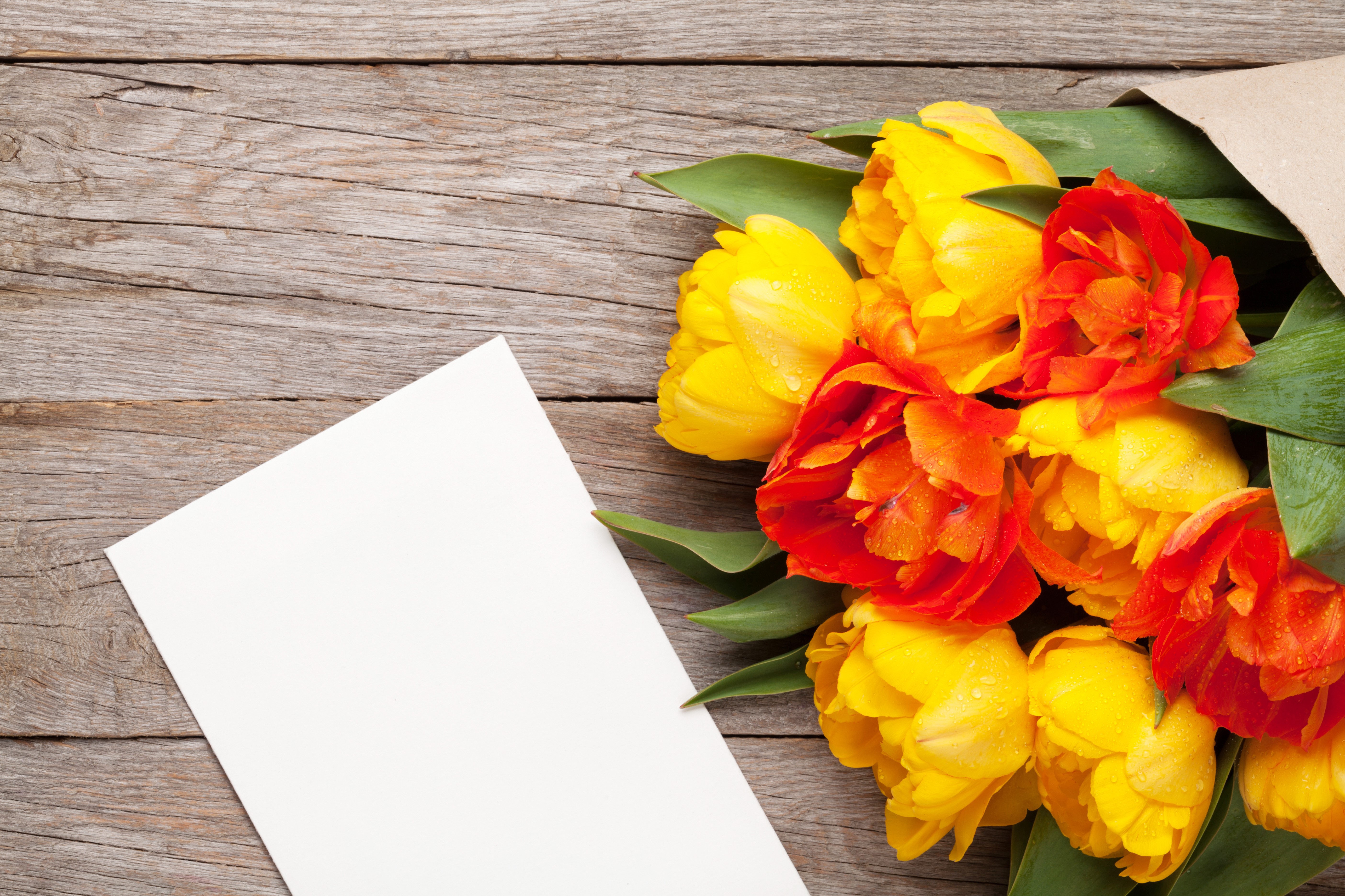 Tulips and blank card on wood planks HD Wallpaper
