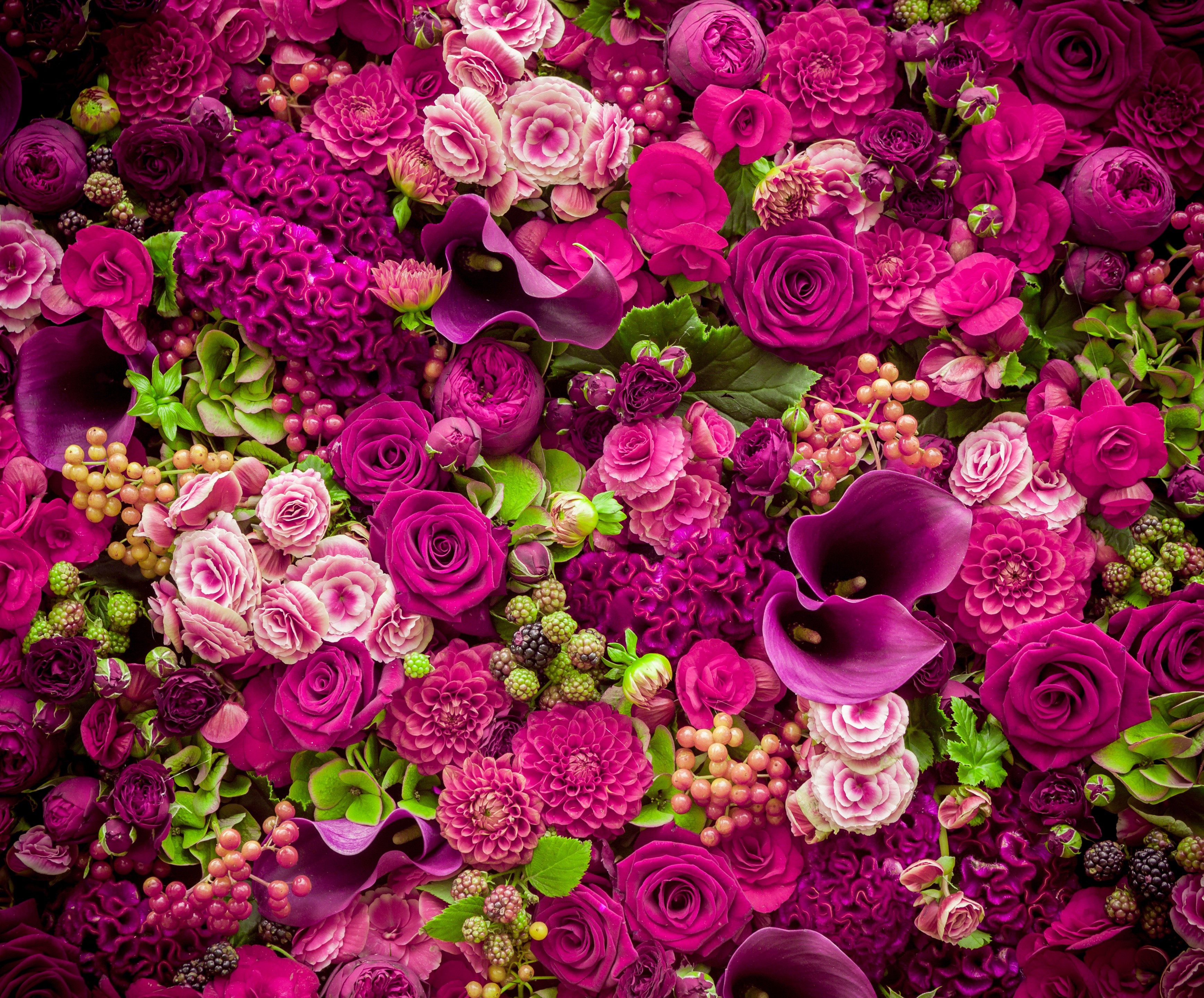 Roses, Callas, and Violet Flowers Arrangement HD Wallpaper