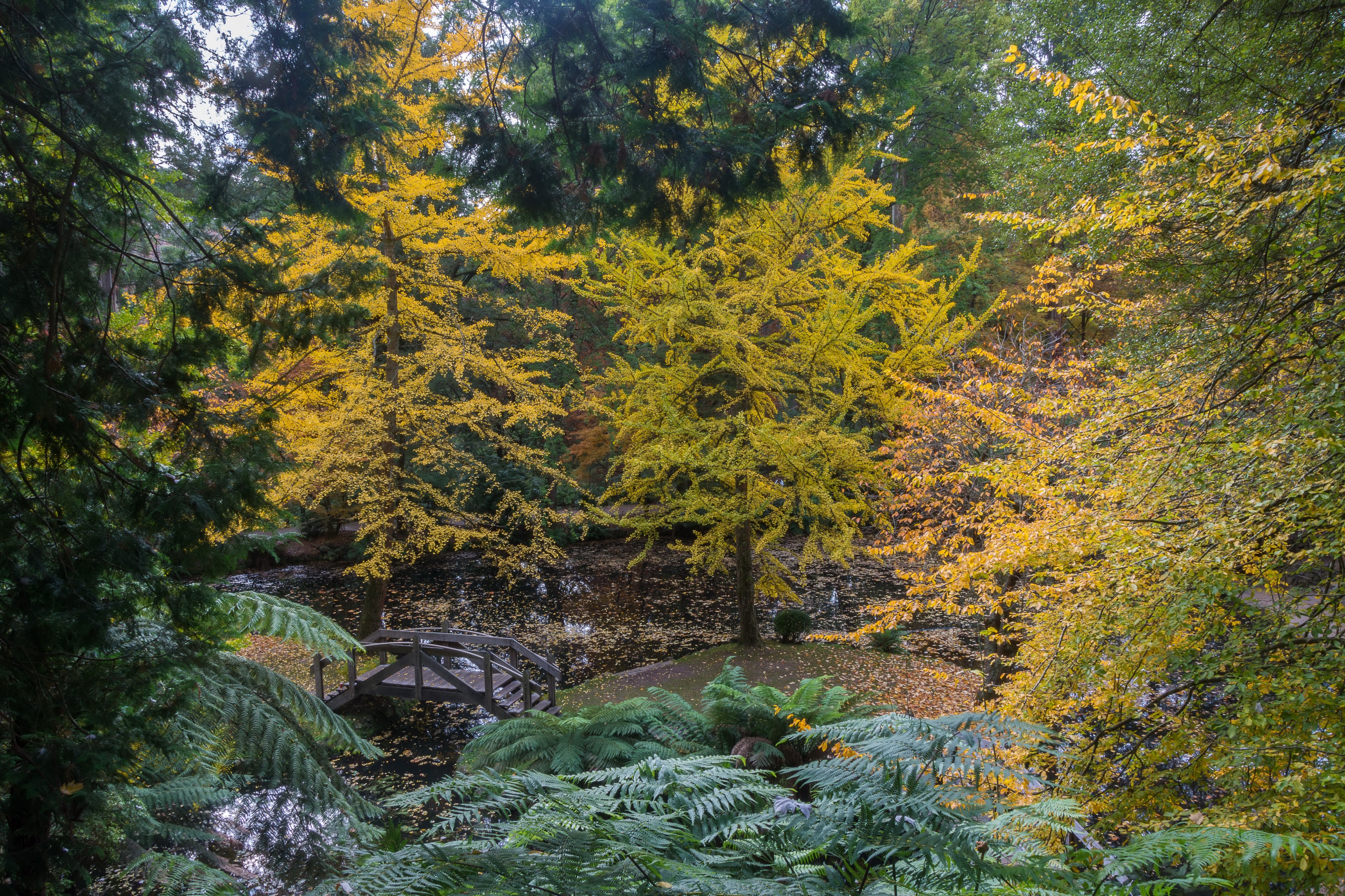 Alfred Nicholas Memorial Gardens in Autumn HD Wallpaper