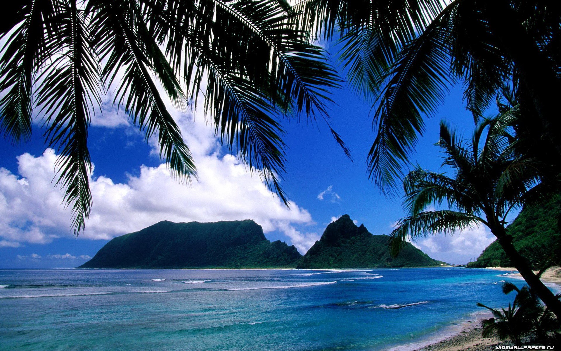 Tropical island with palm trees and ocean HD Wallpaper
