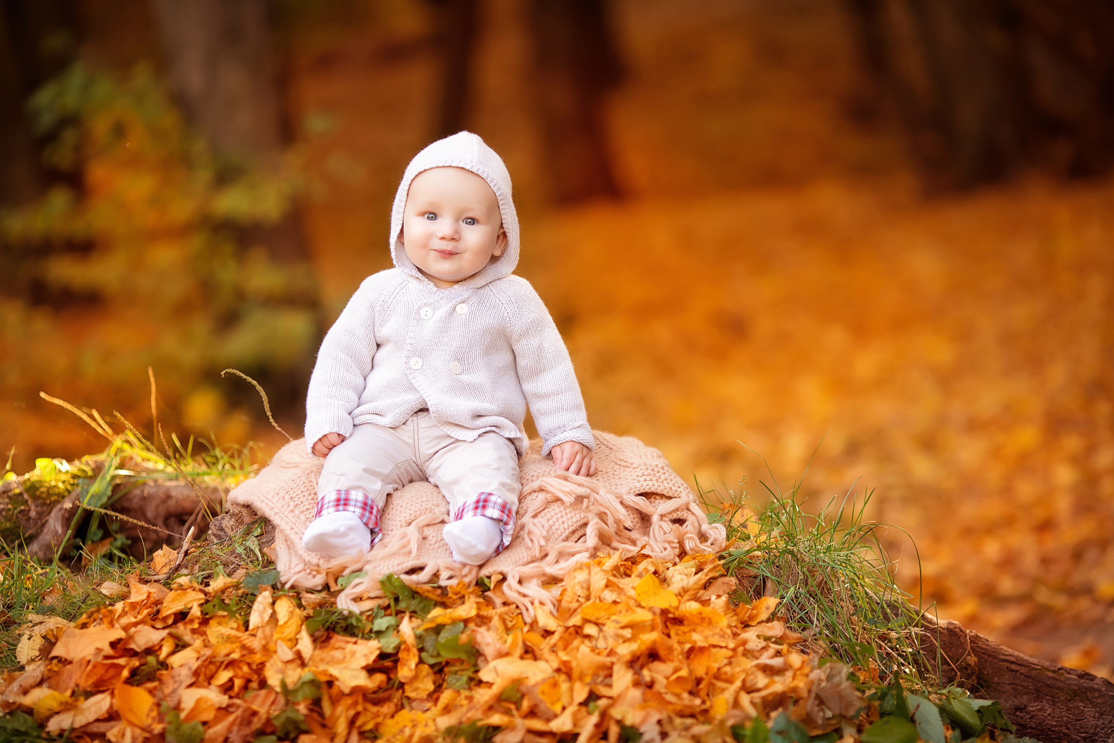 Baby in a hooded sweater sitting in autumn leaves HD Wallpaper