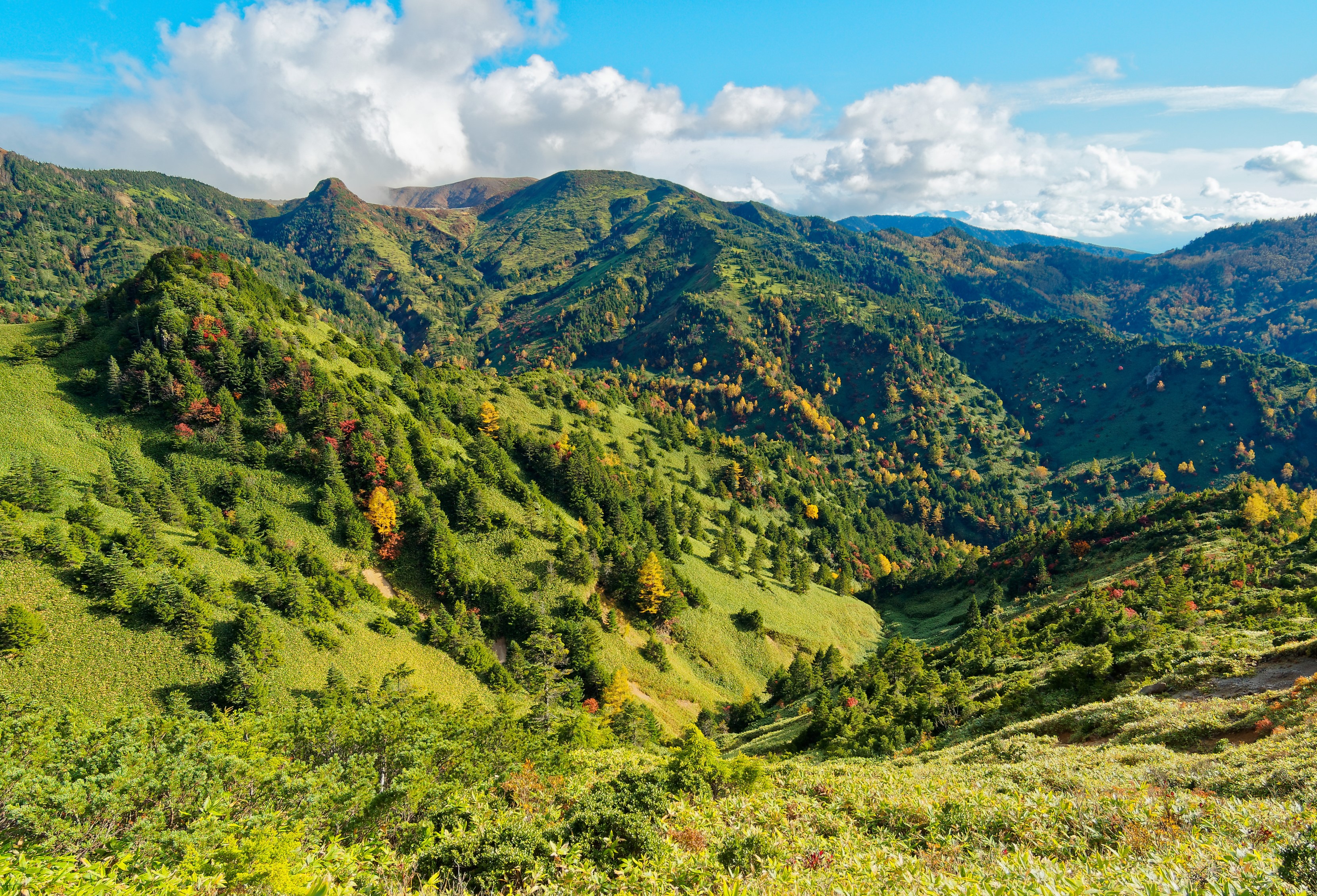 Green mountains with trees and clouds in Japan HD Wallpaper