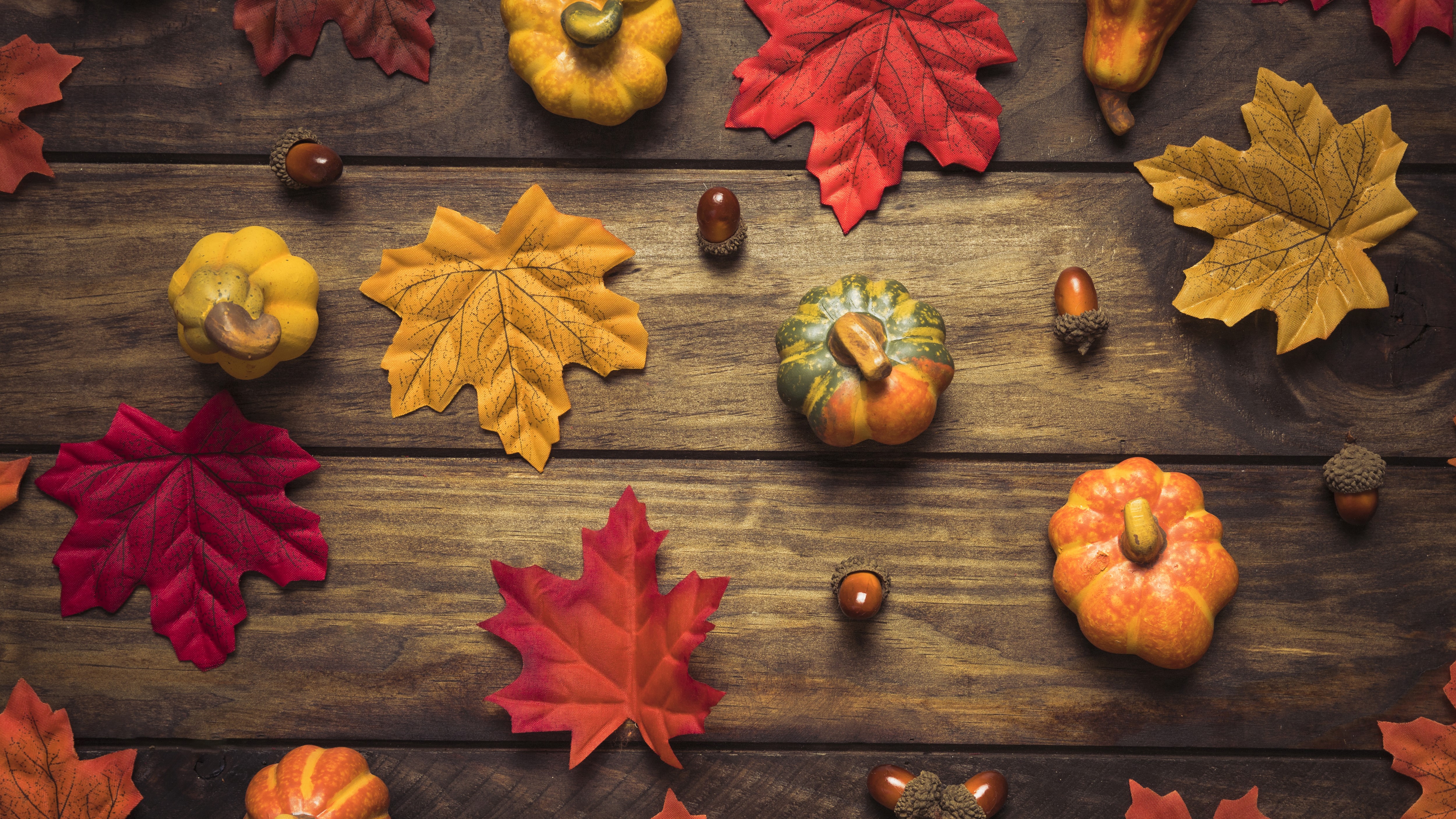 Autumn pumpkins and leaves on wooden background HD Wallpaper