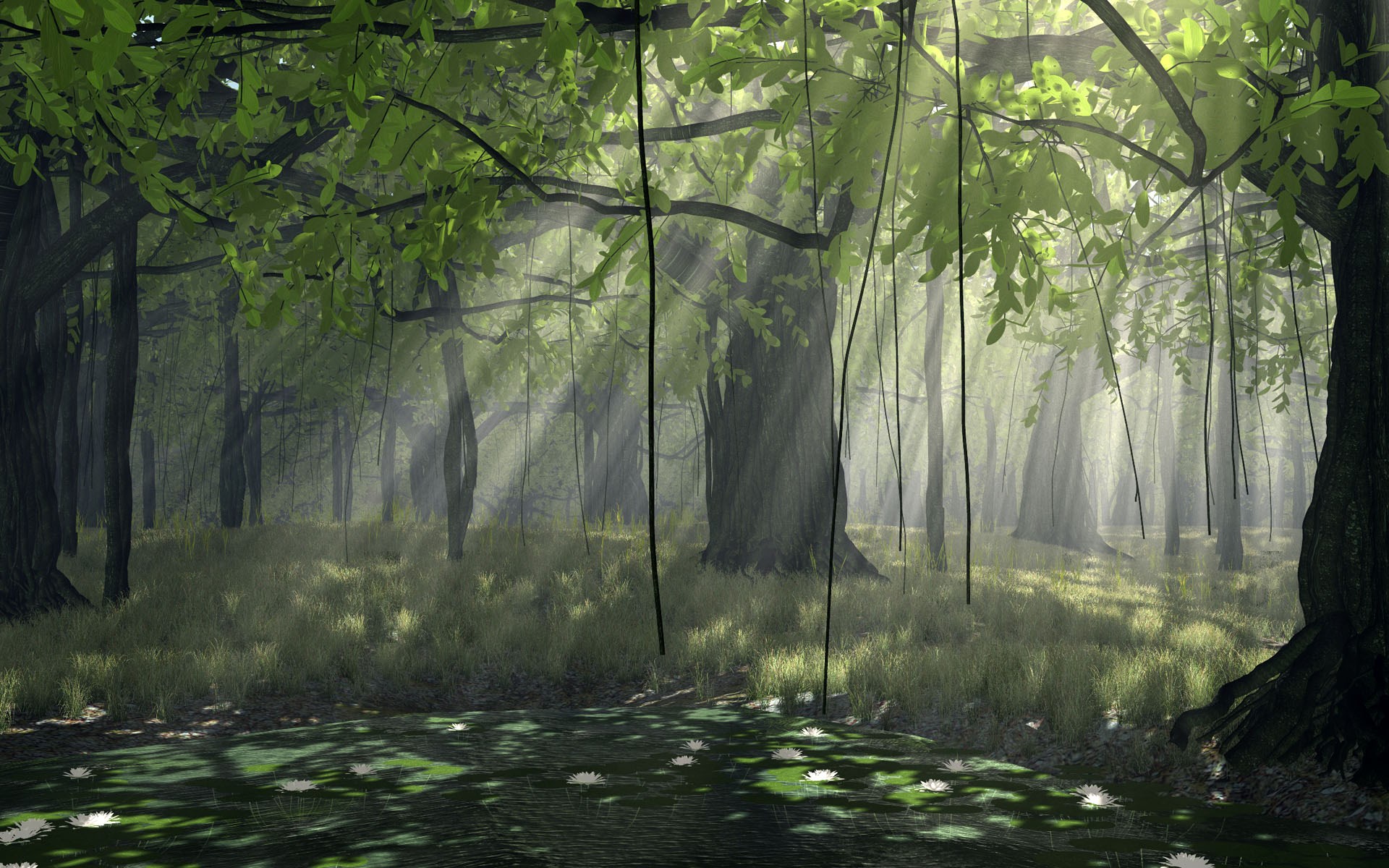 Sunlight filtering through a dense forest with hanging vines HD Wallpaper