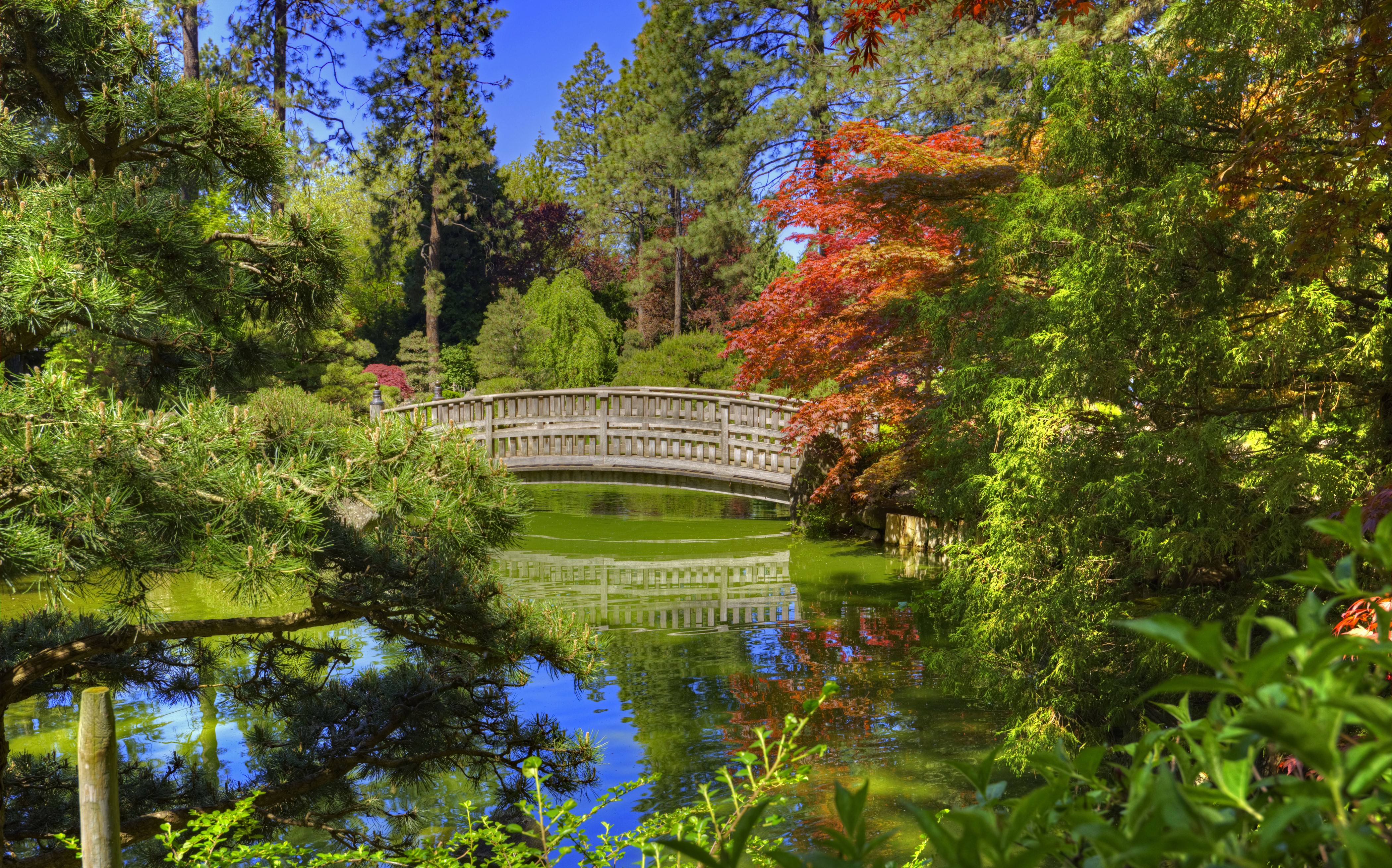 Japanese Garden with Wooden Bridge and Pond in Spokane, Washington HD Wallpaper