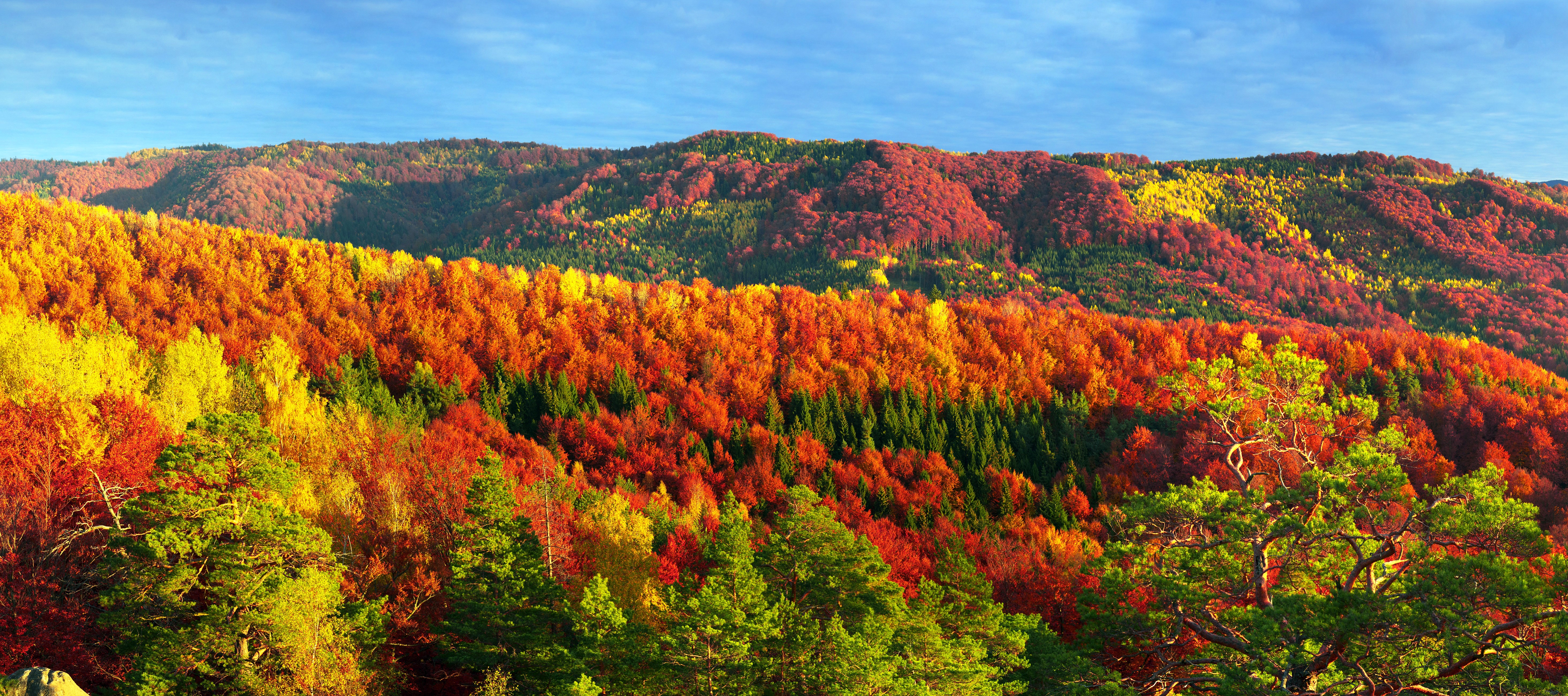 Autumn Mountains and Forests in Zakarpattia, Ukraine HD Wallpaper