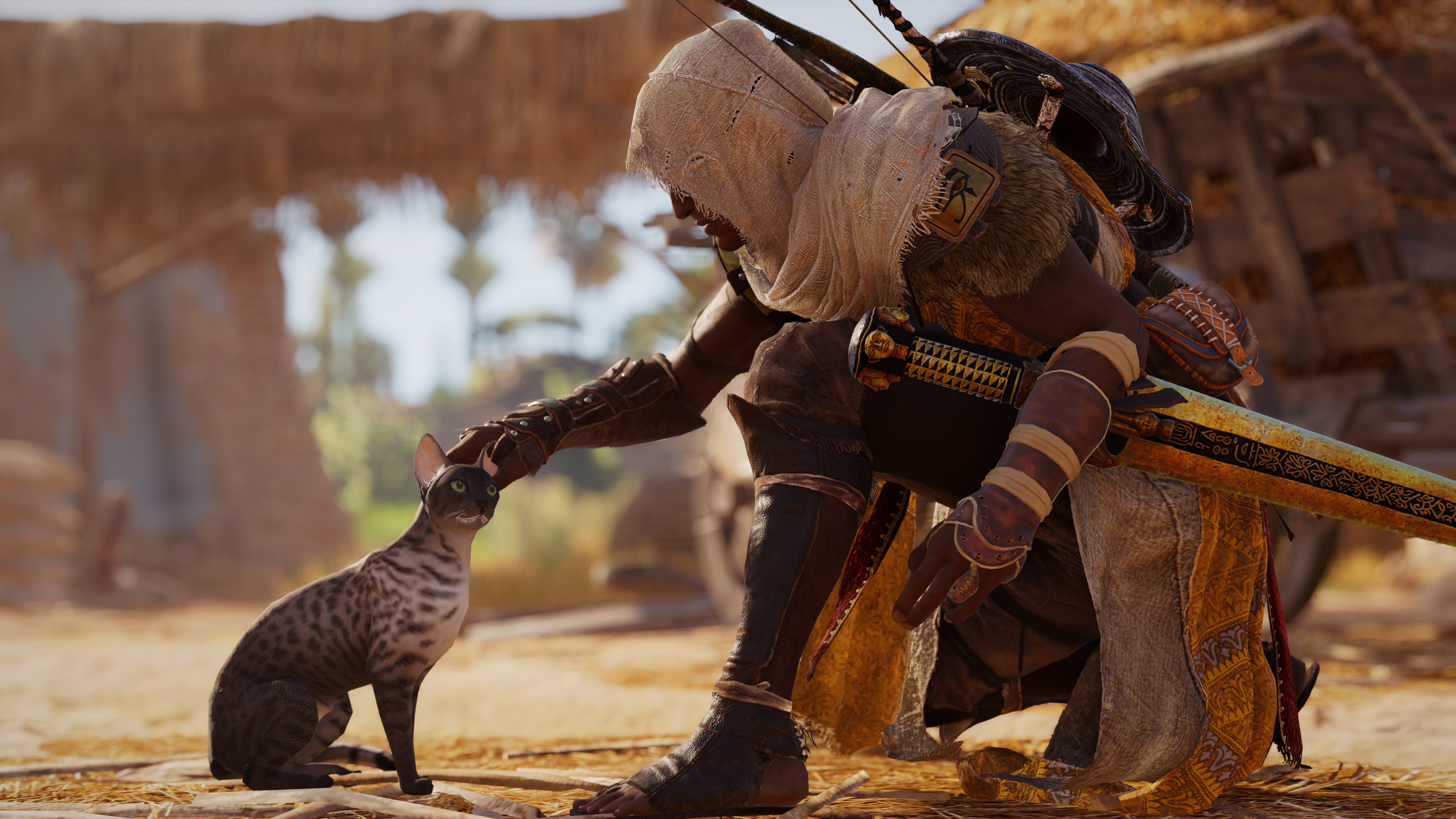 Bayek petting a cat in Assassin's Creed Origins HD Wallpaper
