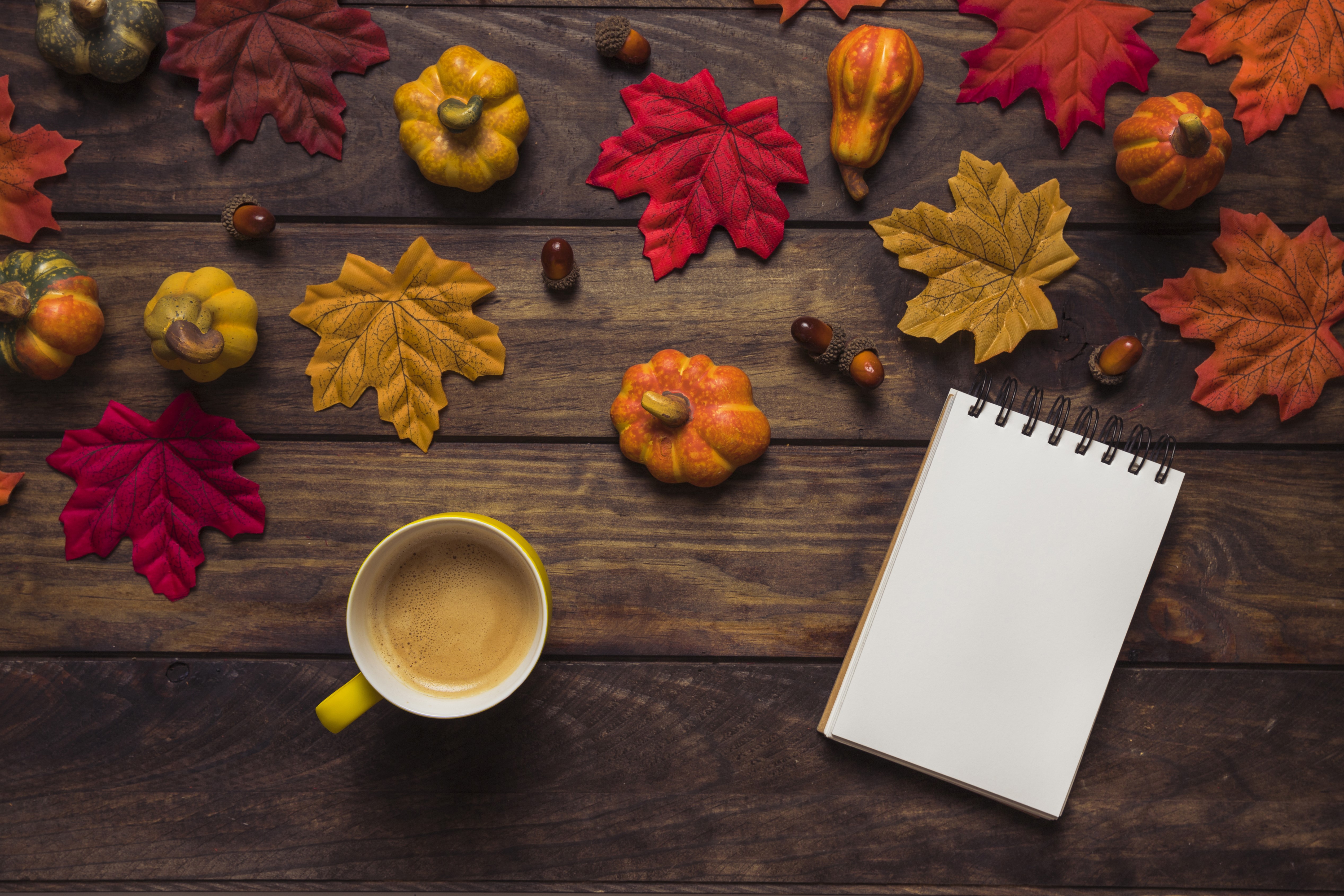 Autumn still life with pumpkins, leaves, coffee, and notepad HD Wallpaper