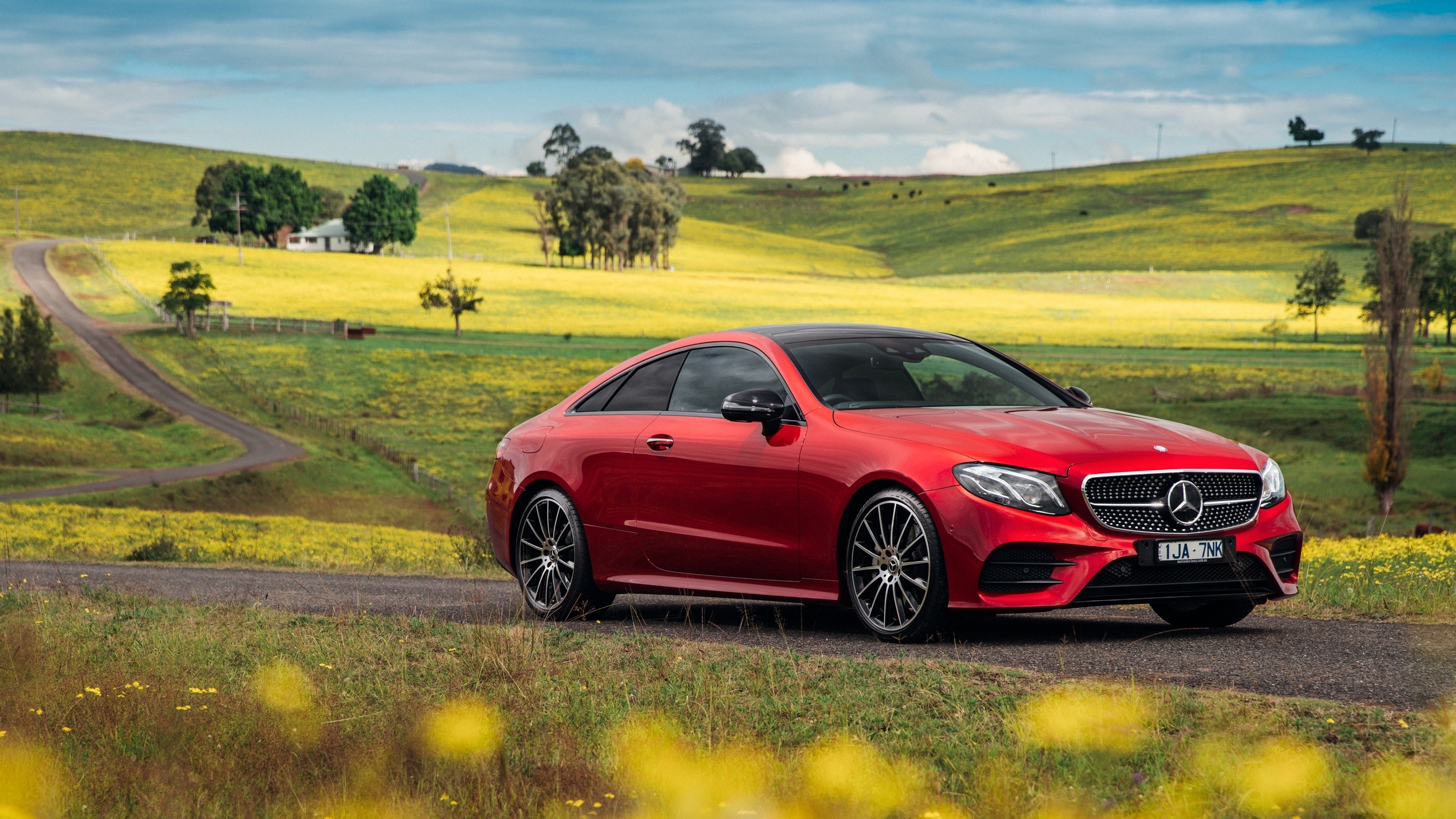 Red Mercedes-Benz E-Class Coupe on a country road HD Wallpaper