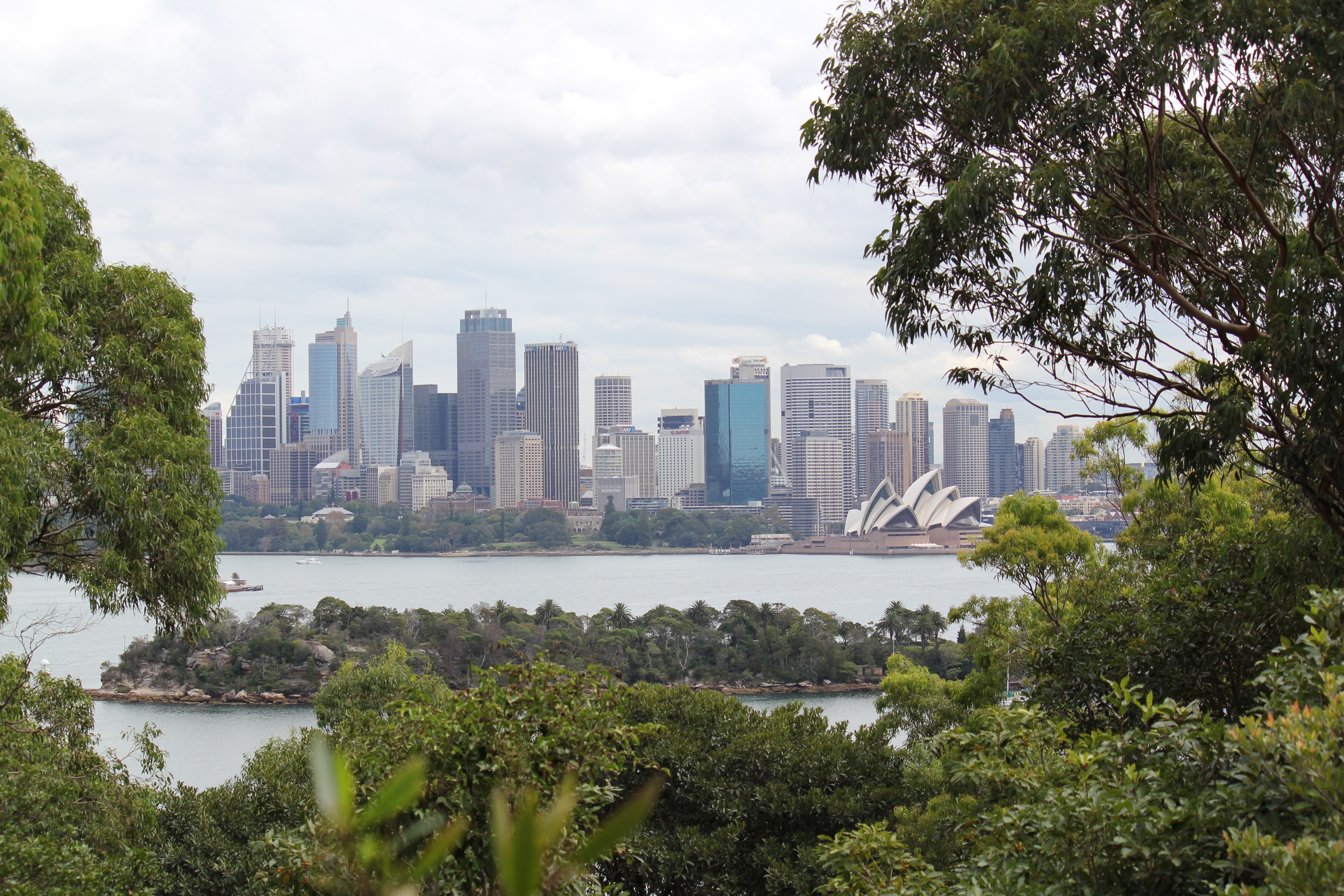 Sydney skyline with Opera House and harbor HD Wallpaper