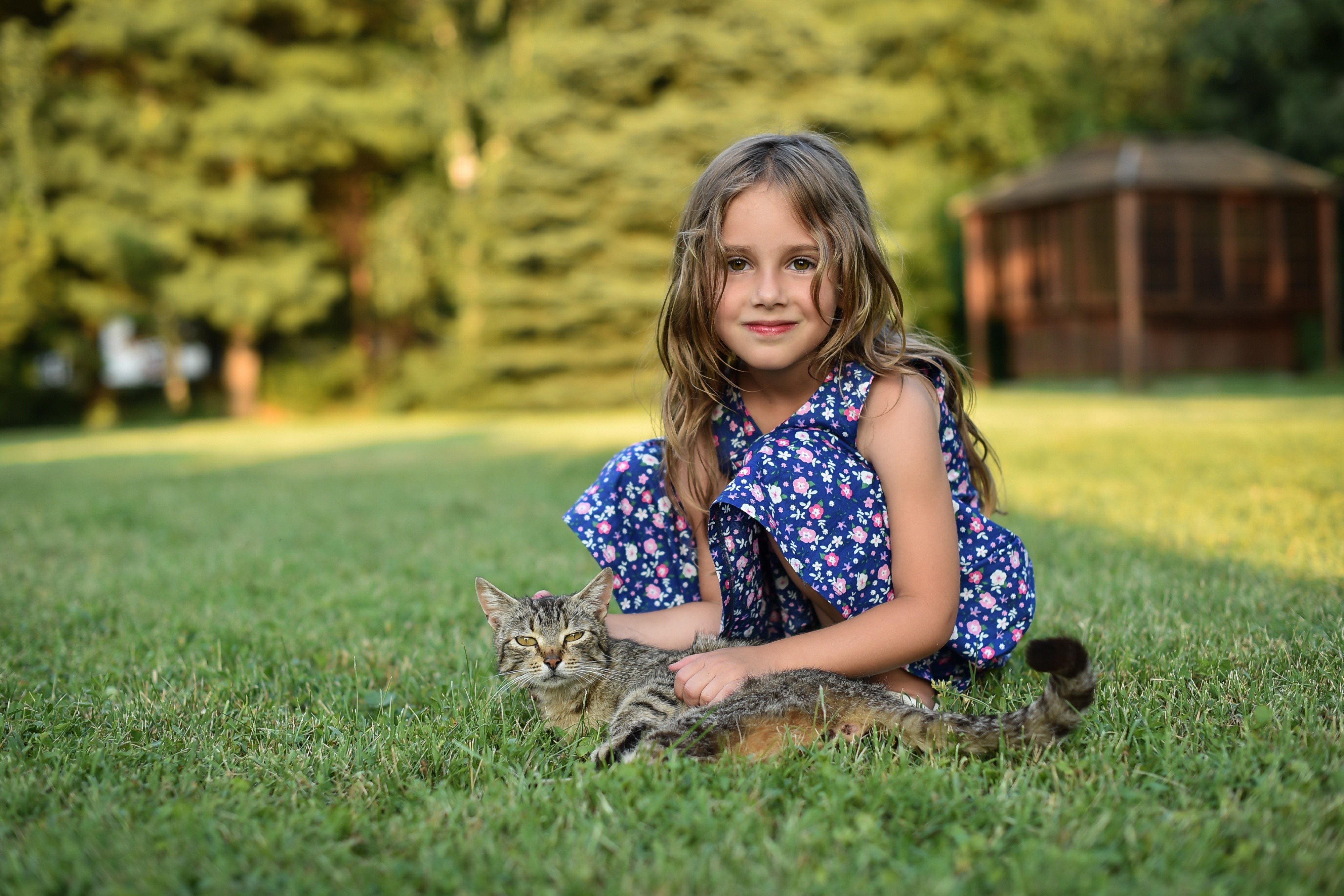 Girl with cat on grass HD Wallpaper