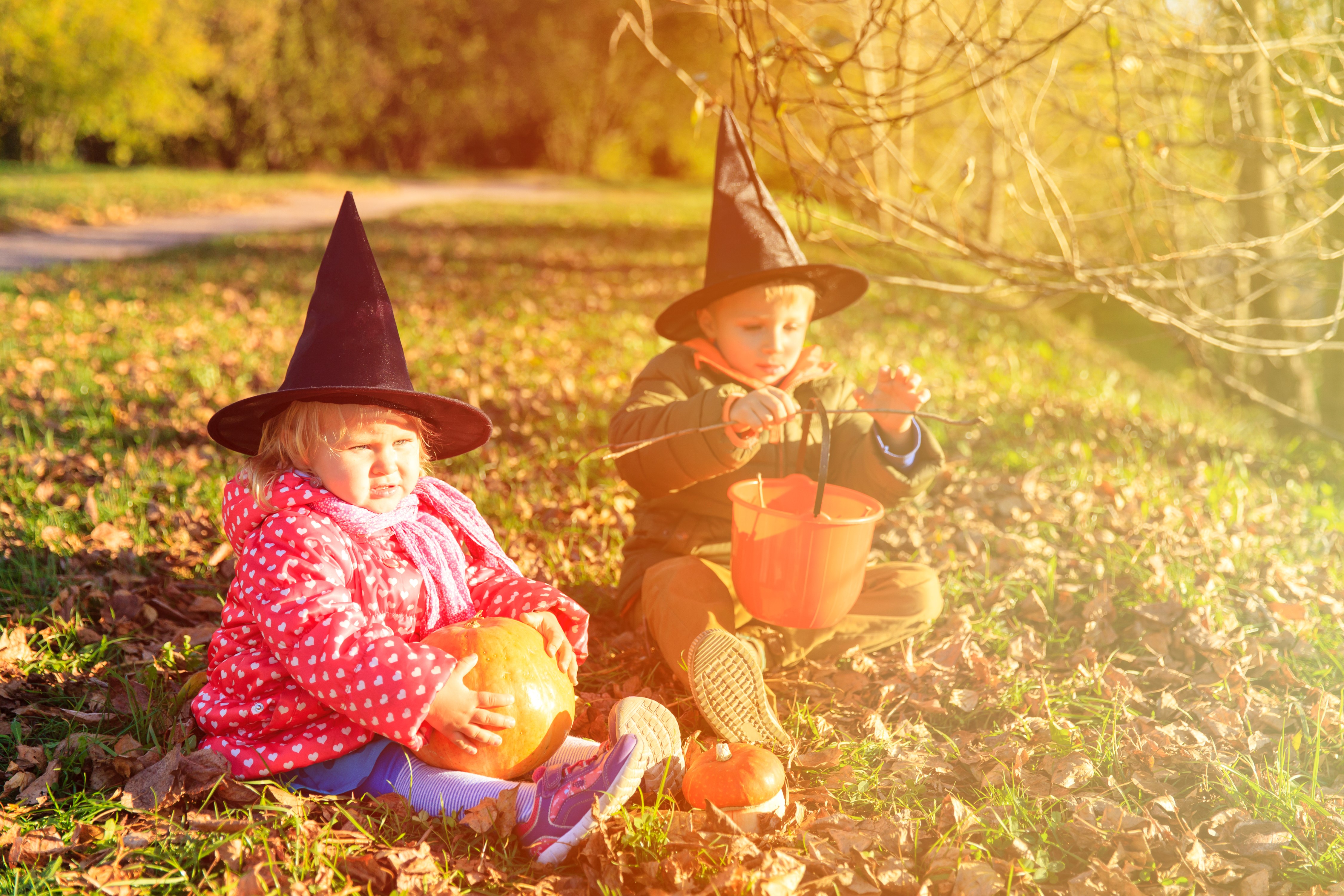 Two children in witch hats with pumpkins for Halloween HD Wallpaper
