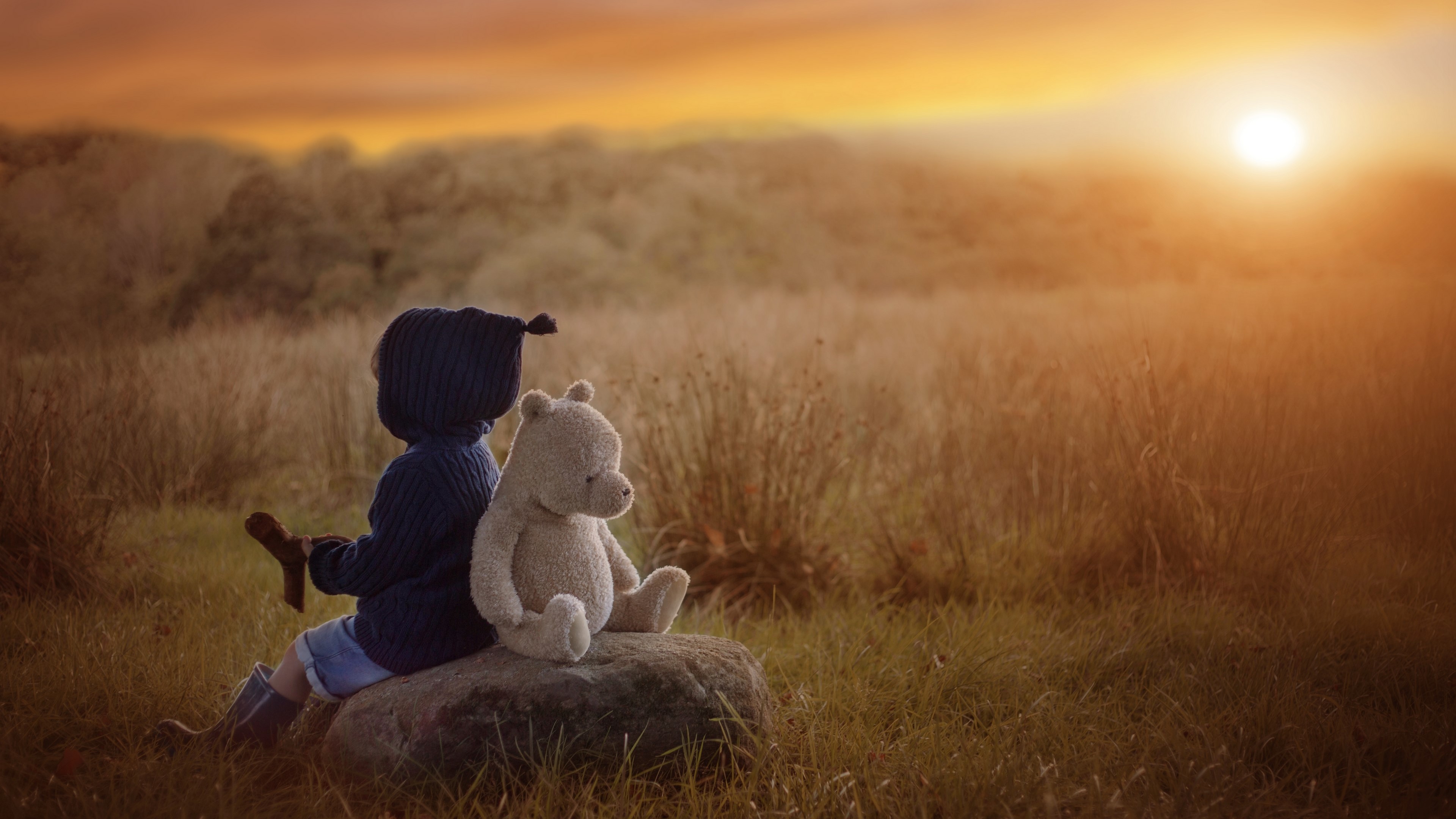 Child and Teddy Bear Watching Sunset HD Wallpaper
