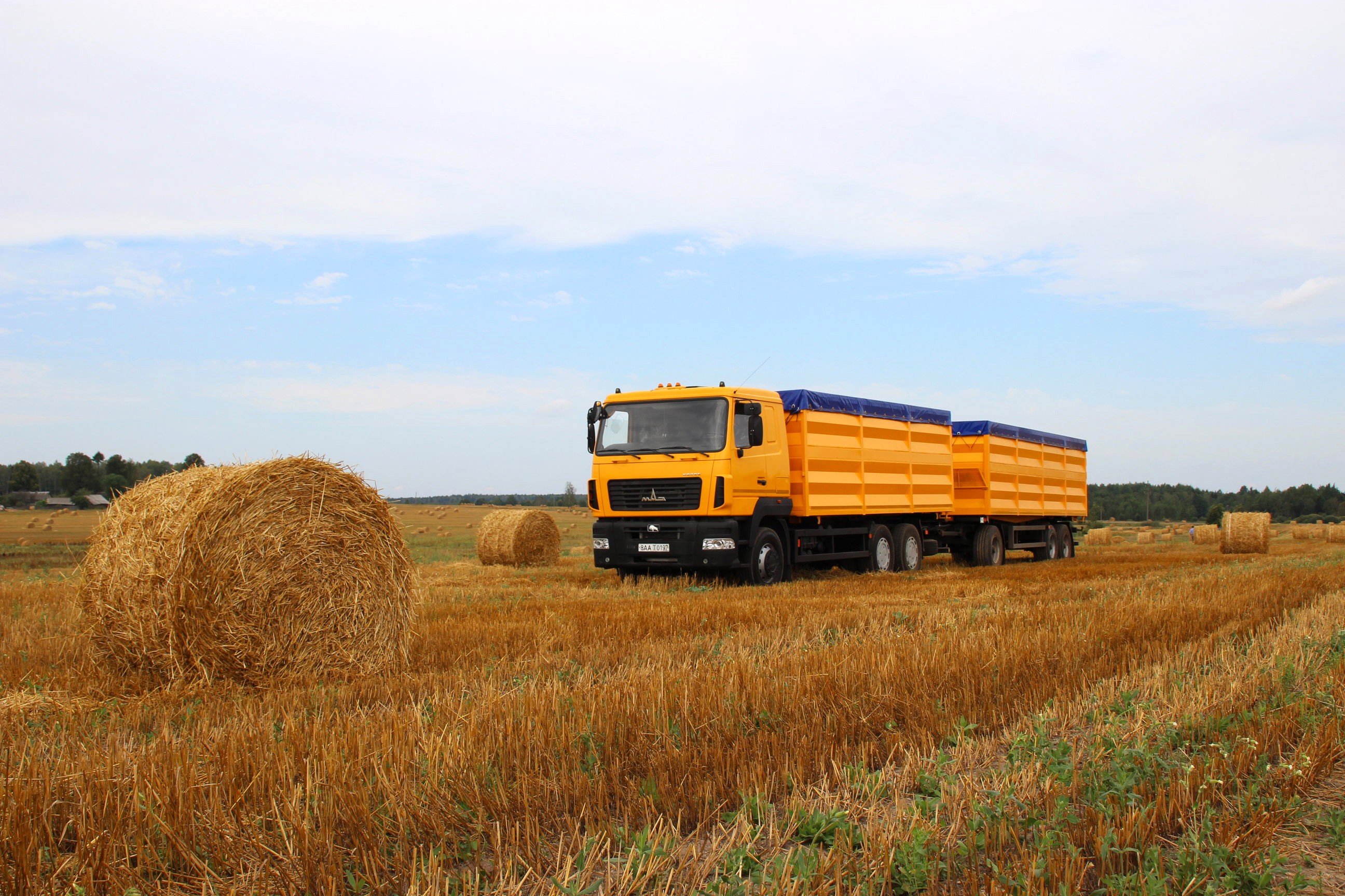 Yellow MAZ-6501A8 Truck with Trailers in a Field HD Wallpaper