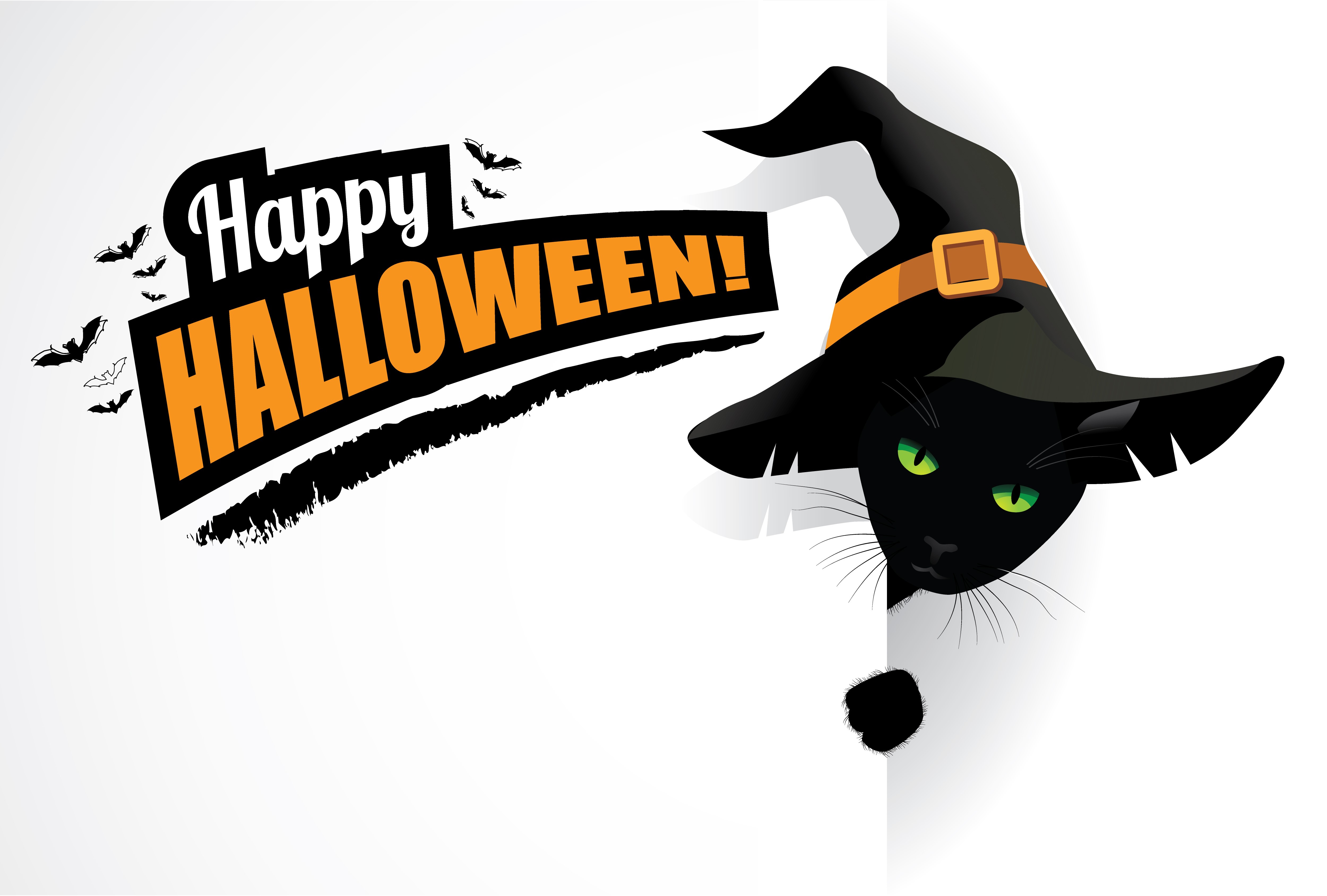 Happy Halloween Black Cat with Witch Hat HD Wallpaper