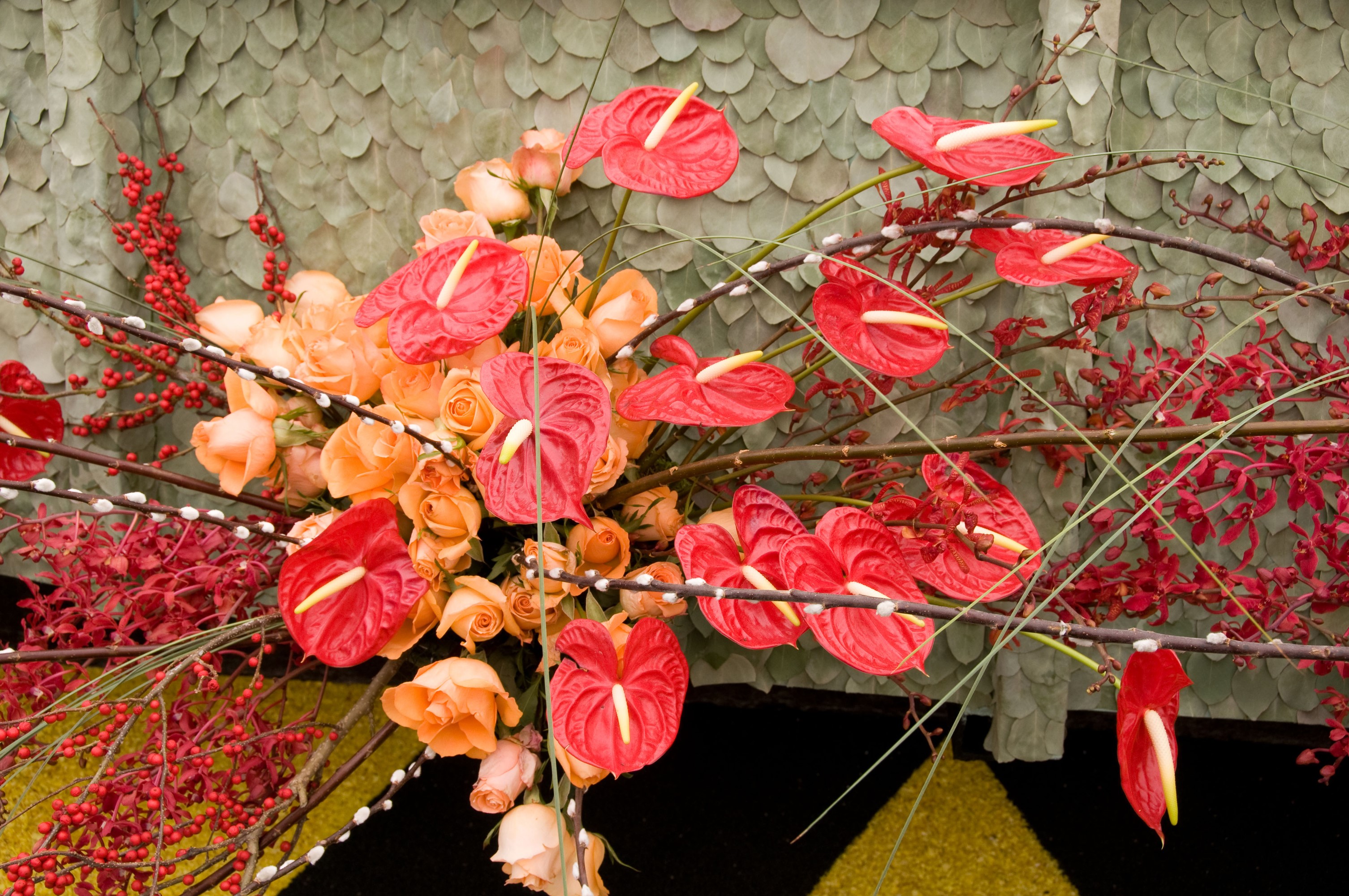 Anthurium and Roses floral arrangement with berries and branches HD Wallpaper