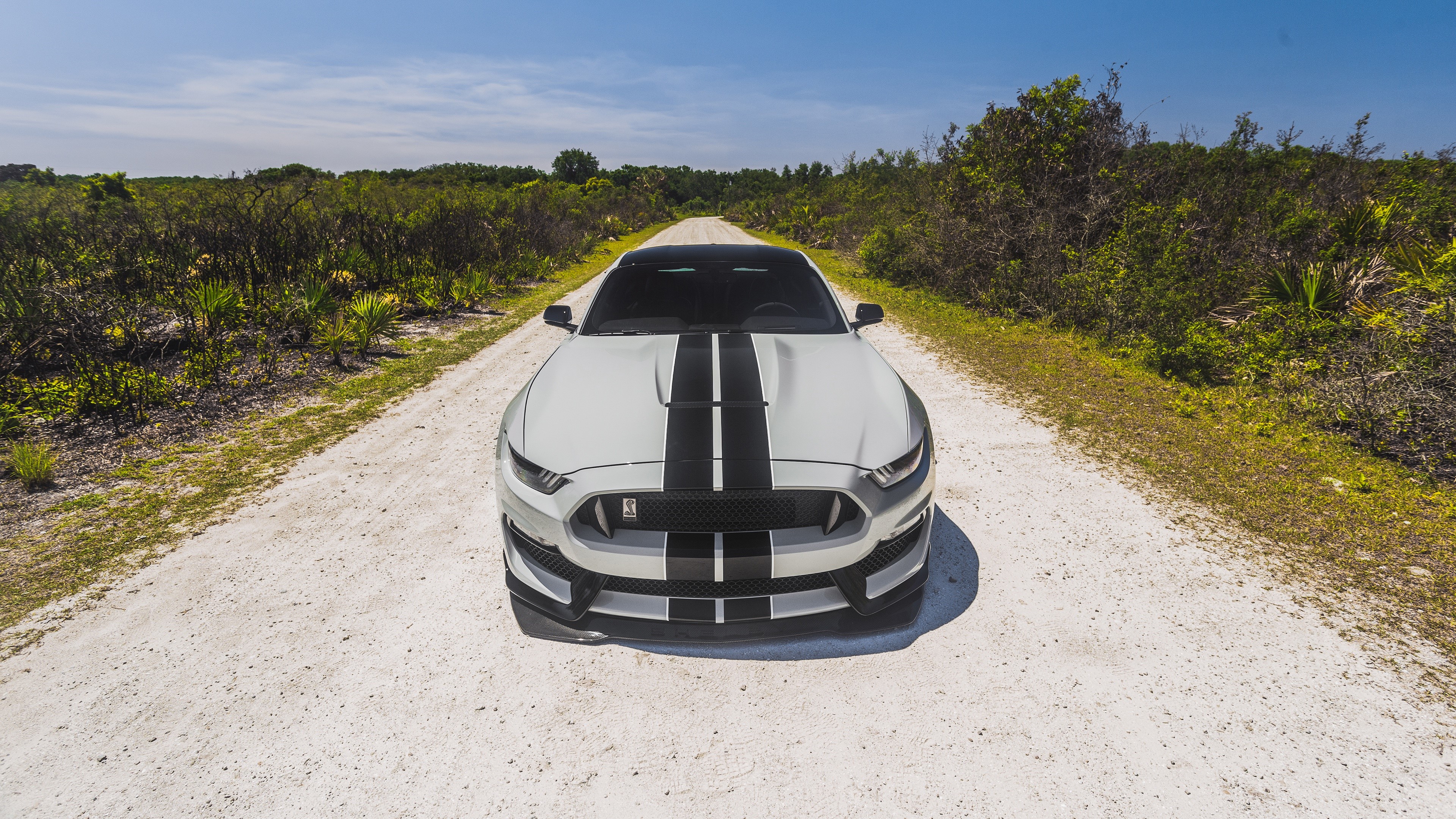 Ford Mustang Shelby GT350 with Stripes HD Wallpaper