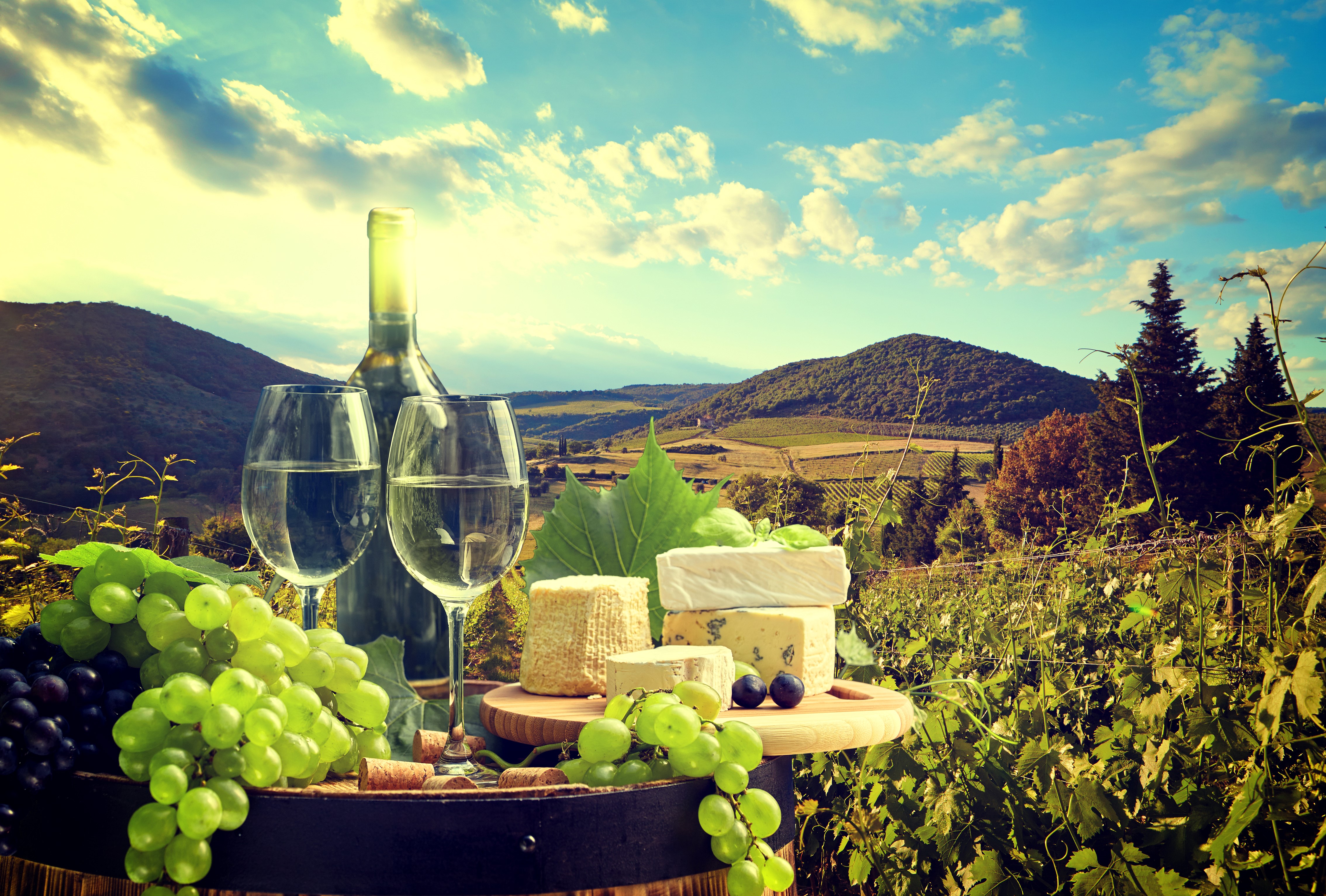 Still-life of Wine, Grapes, and Cheese in a Vineyard HD Wallpaper
