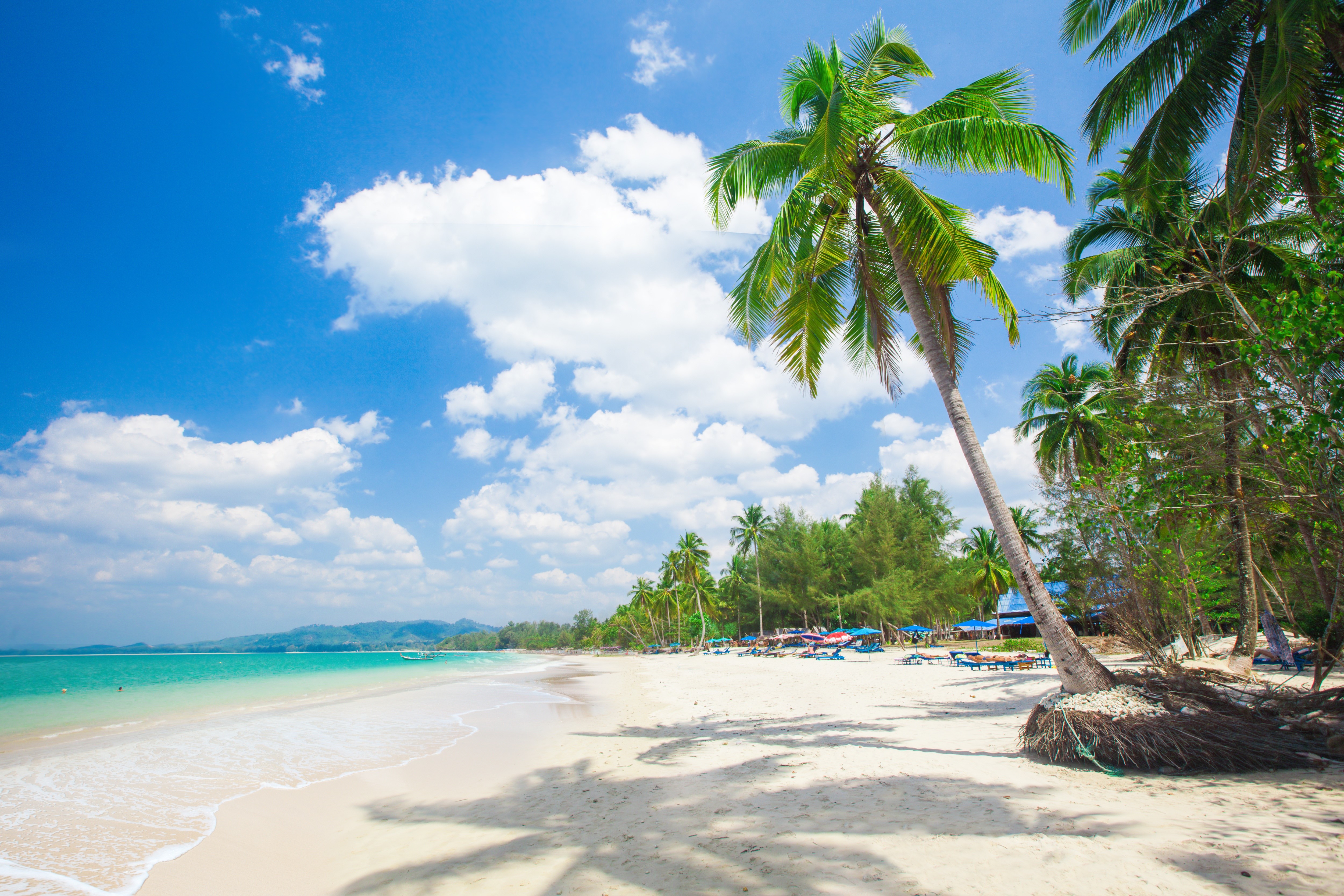Tropical beach with palm trees and ocean HD Wallpaper