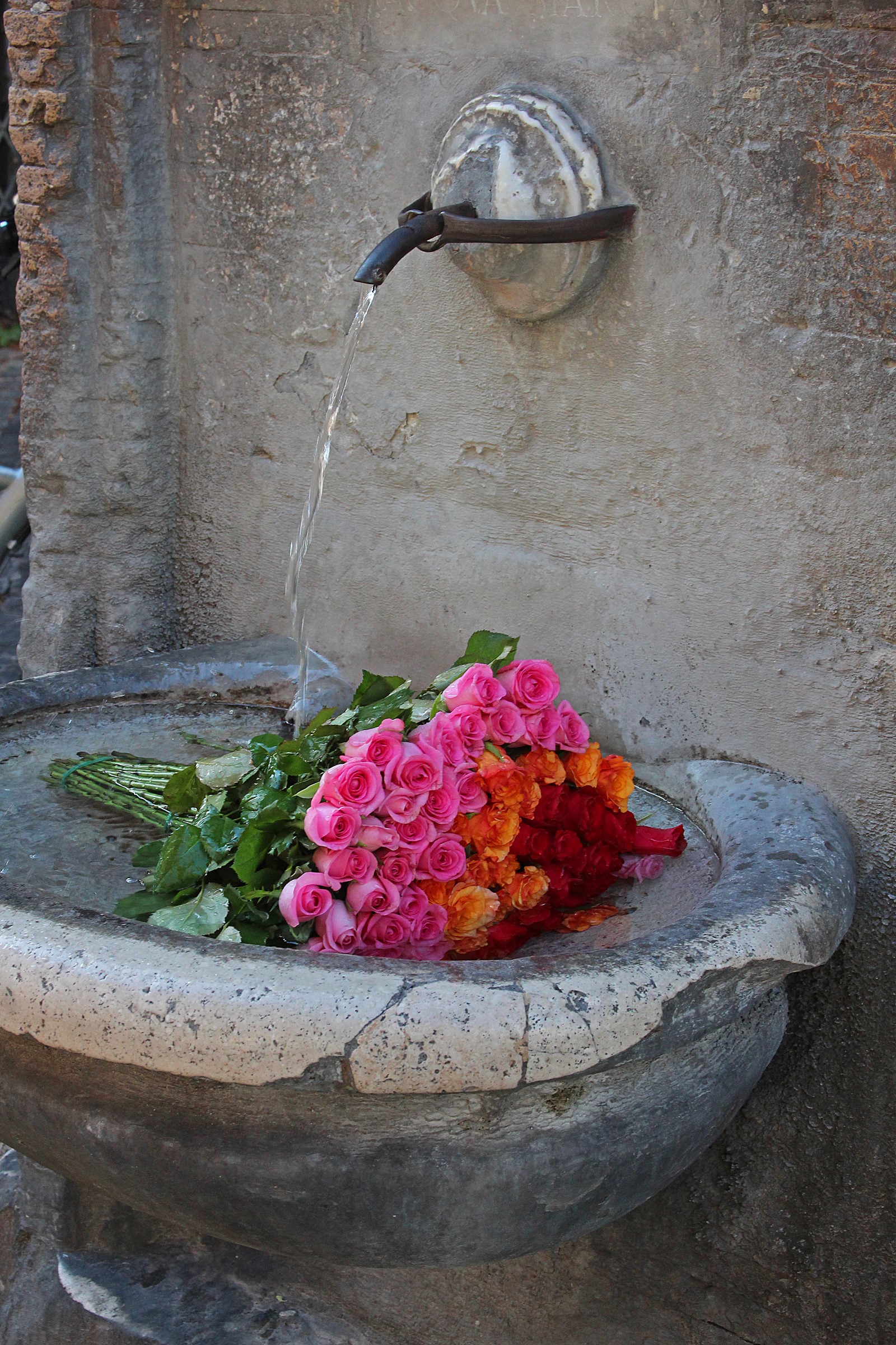 Bouquet of Roses in a Stone Fountain with Running Water HD Phone Wallpaper